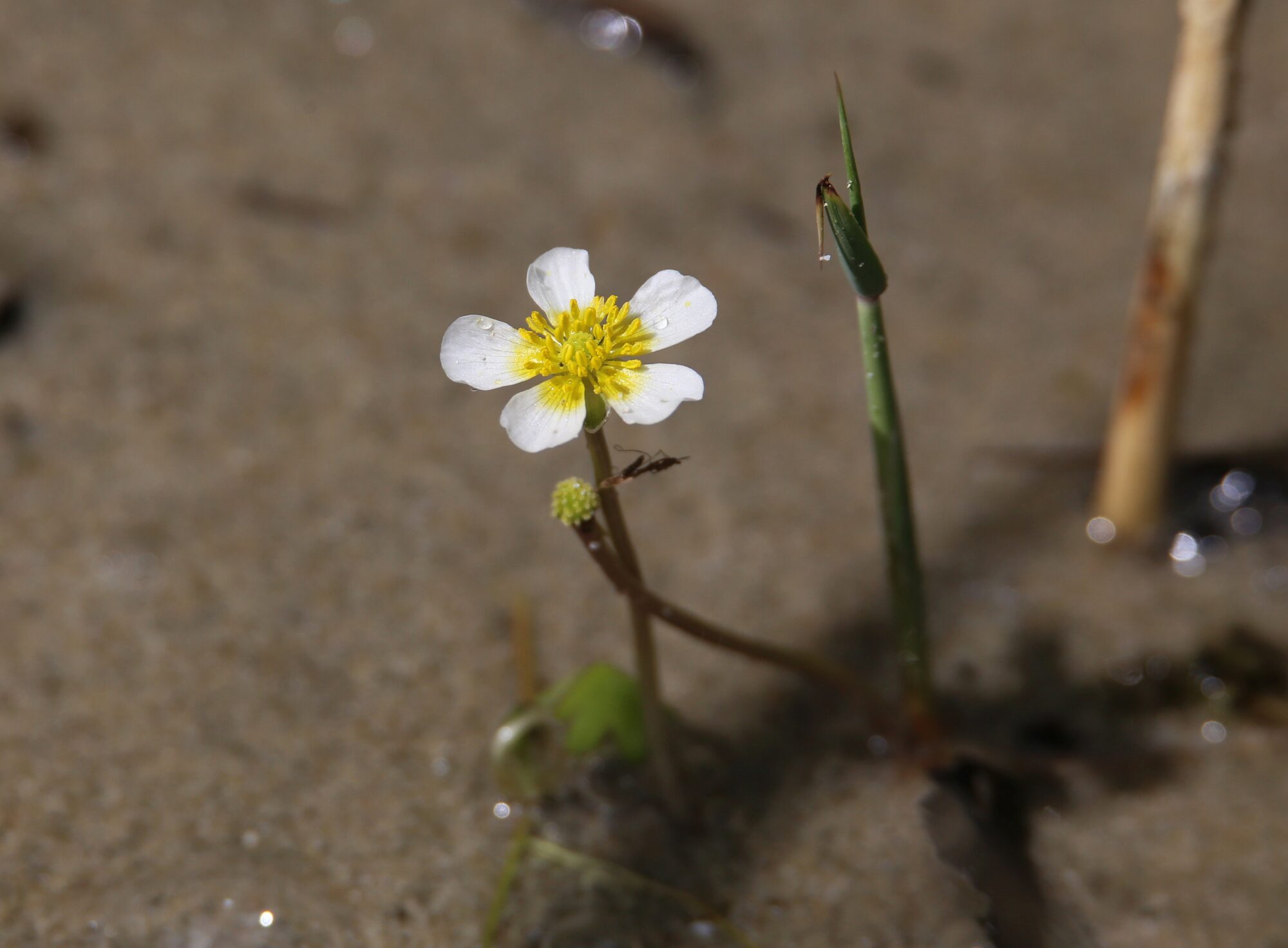 Valokuvaaja: Jaana Saarelainen Valokuvaaja: Jaana Saarelainen