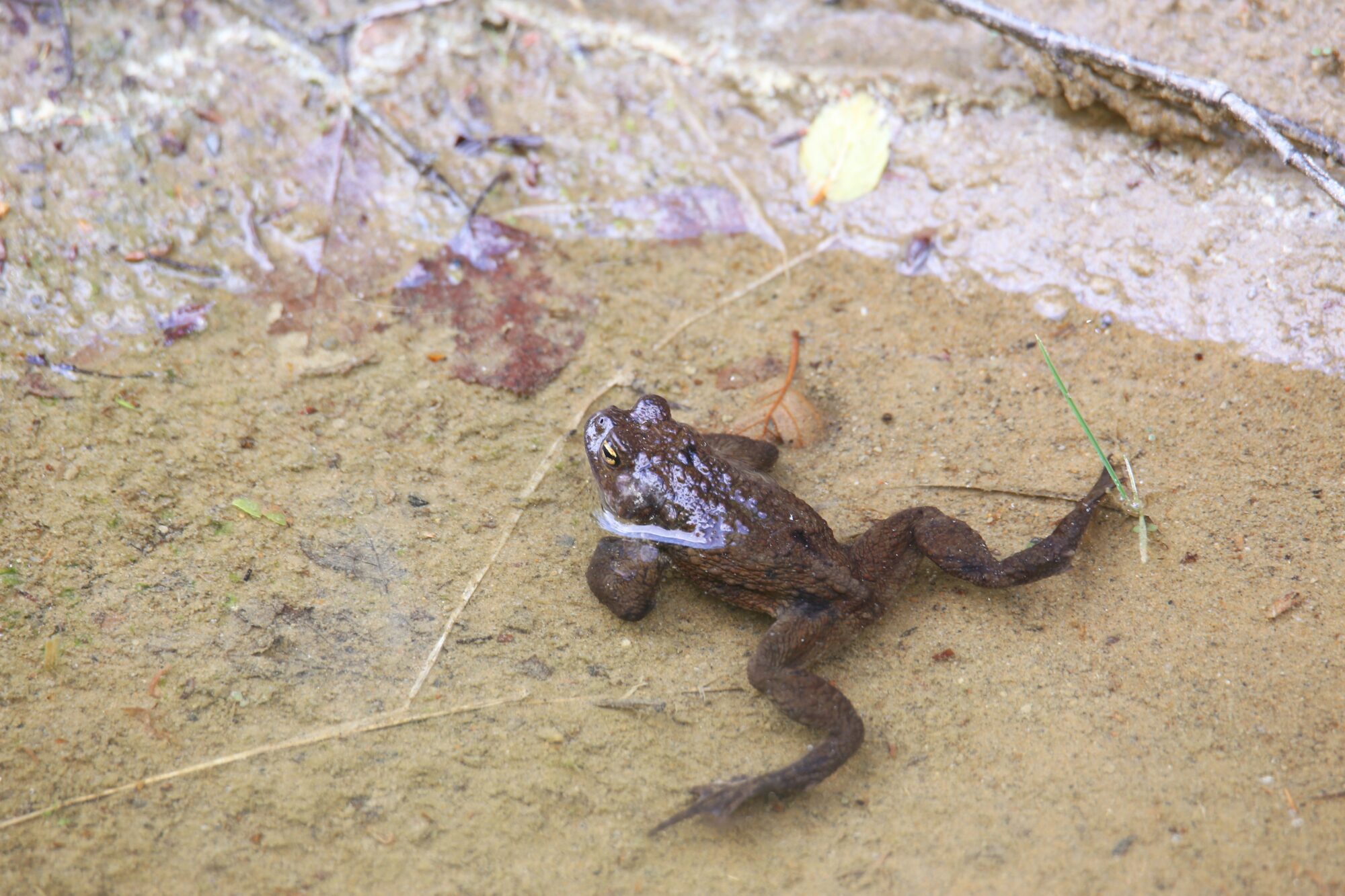 Valokuvaaja: Jaana Saarelainen