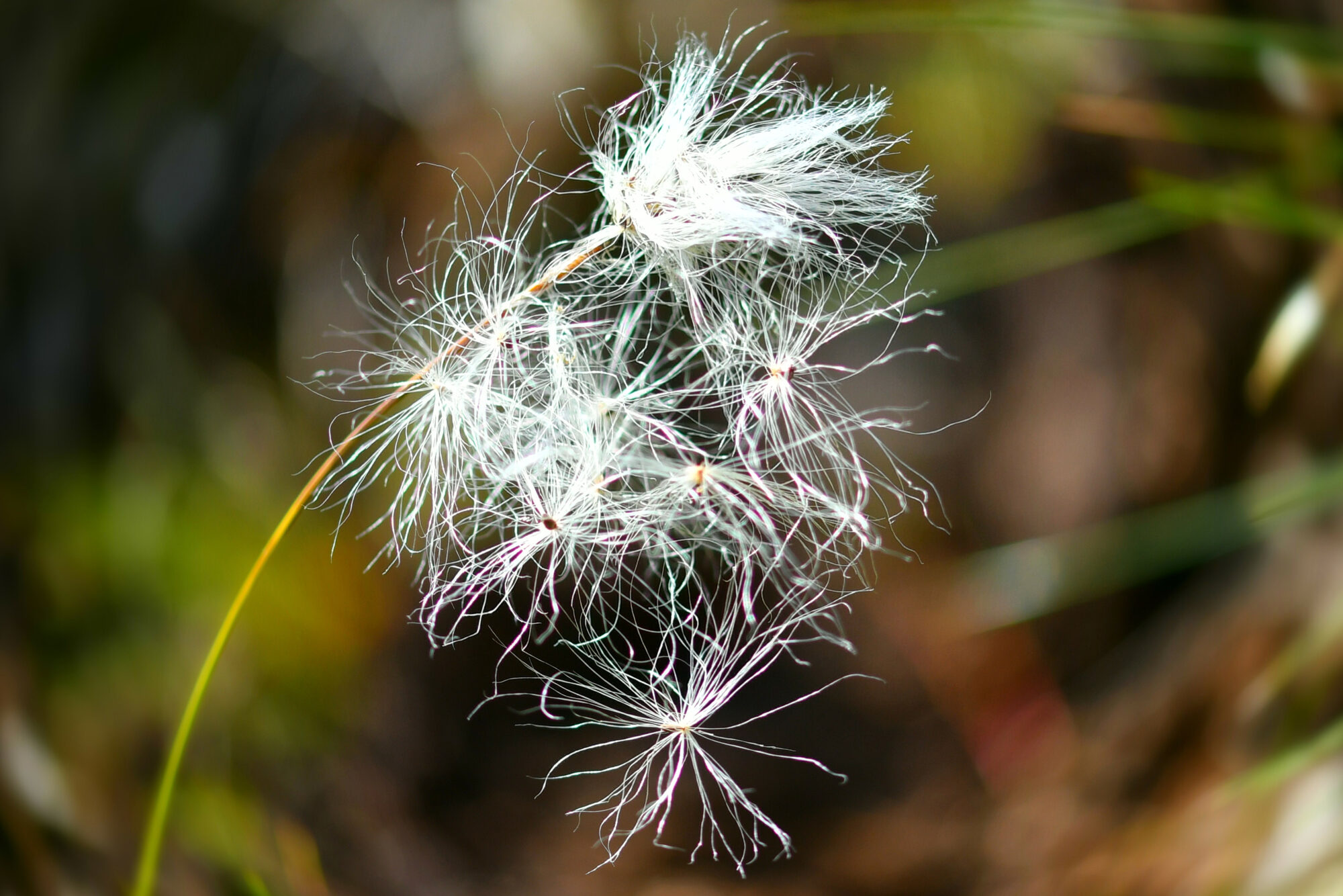 Valokuvaaja: Antti Kaskinen