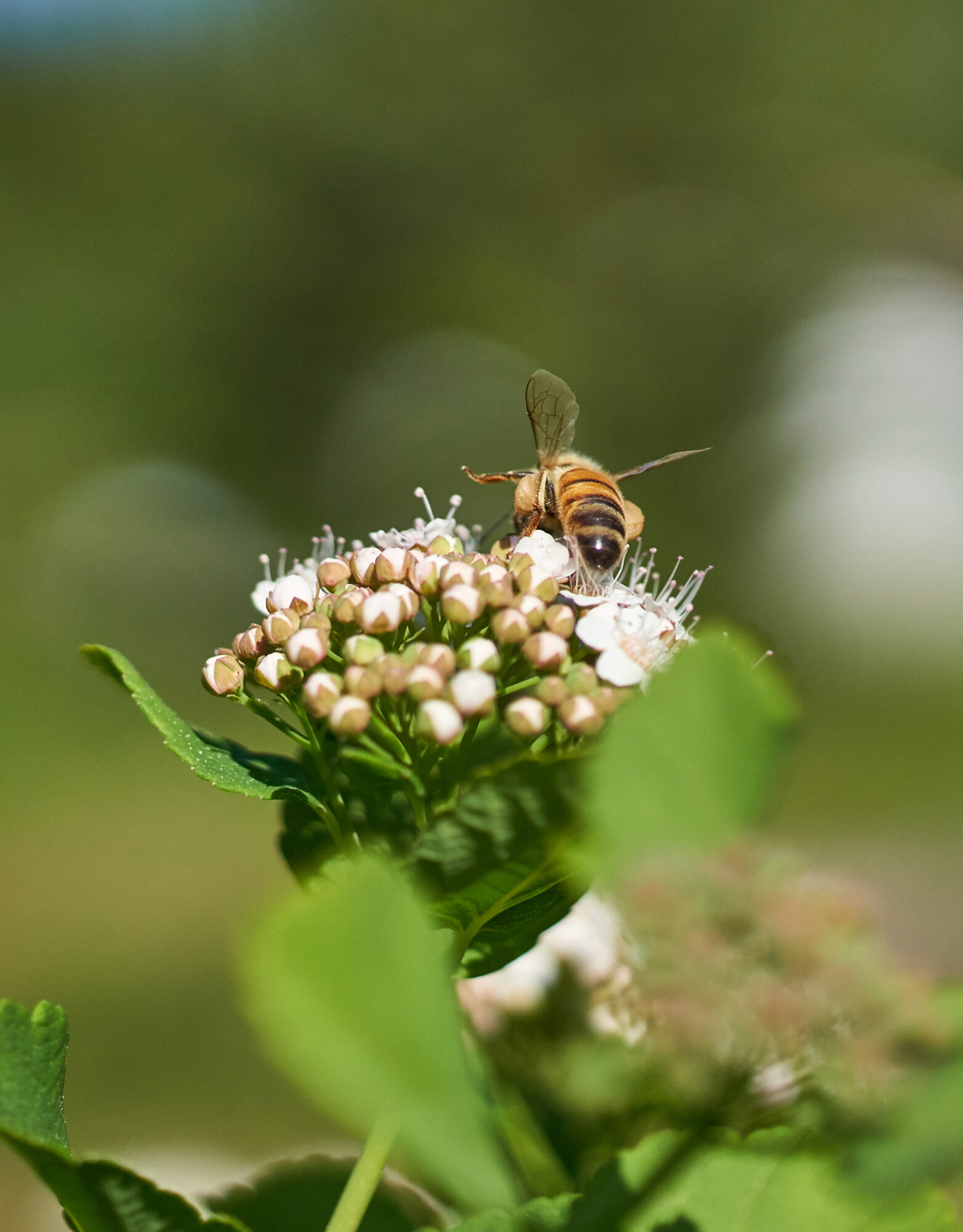 Valokuvaaja: Tarja Kouvo