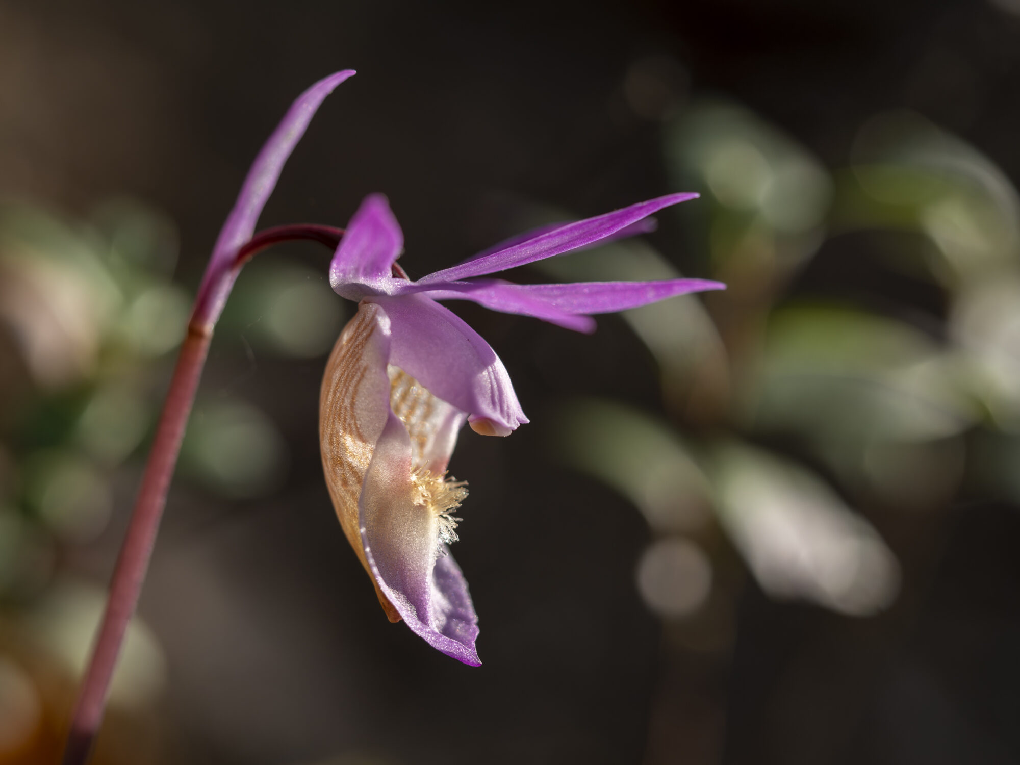 Valokuvaaja: Hannu Tikkanen