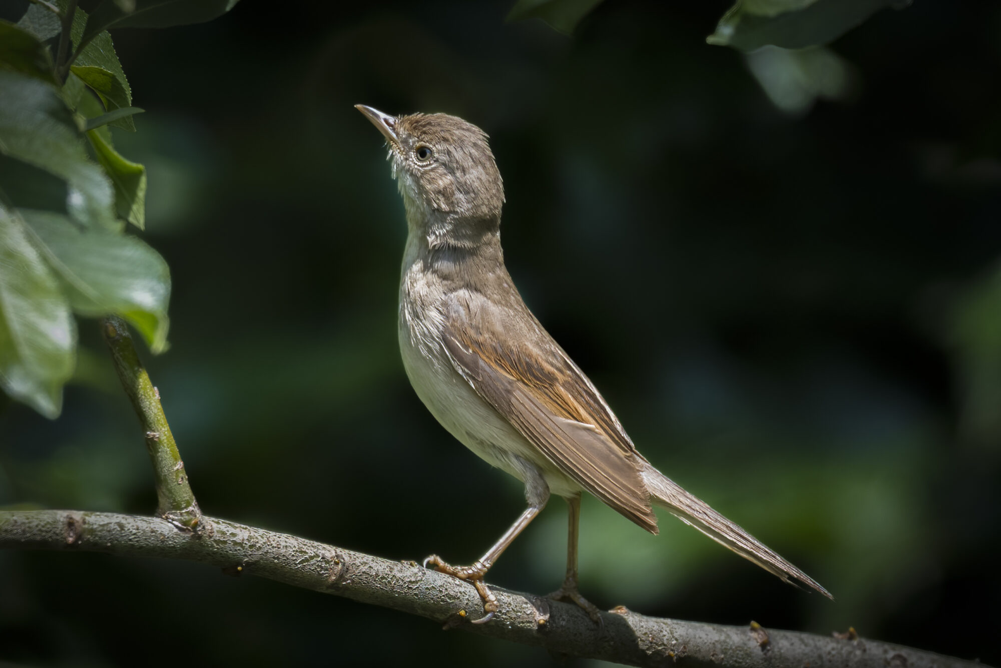 Valokuvaaja: Risto Lavi