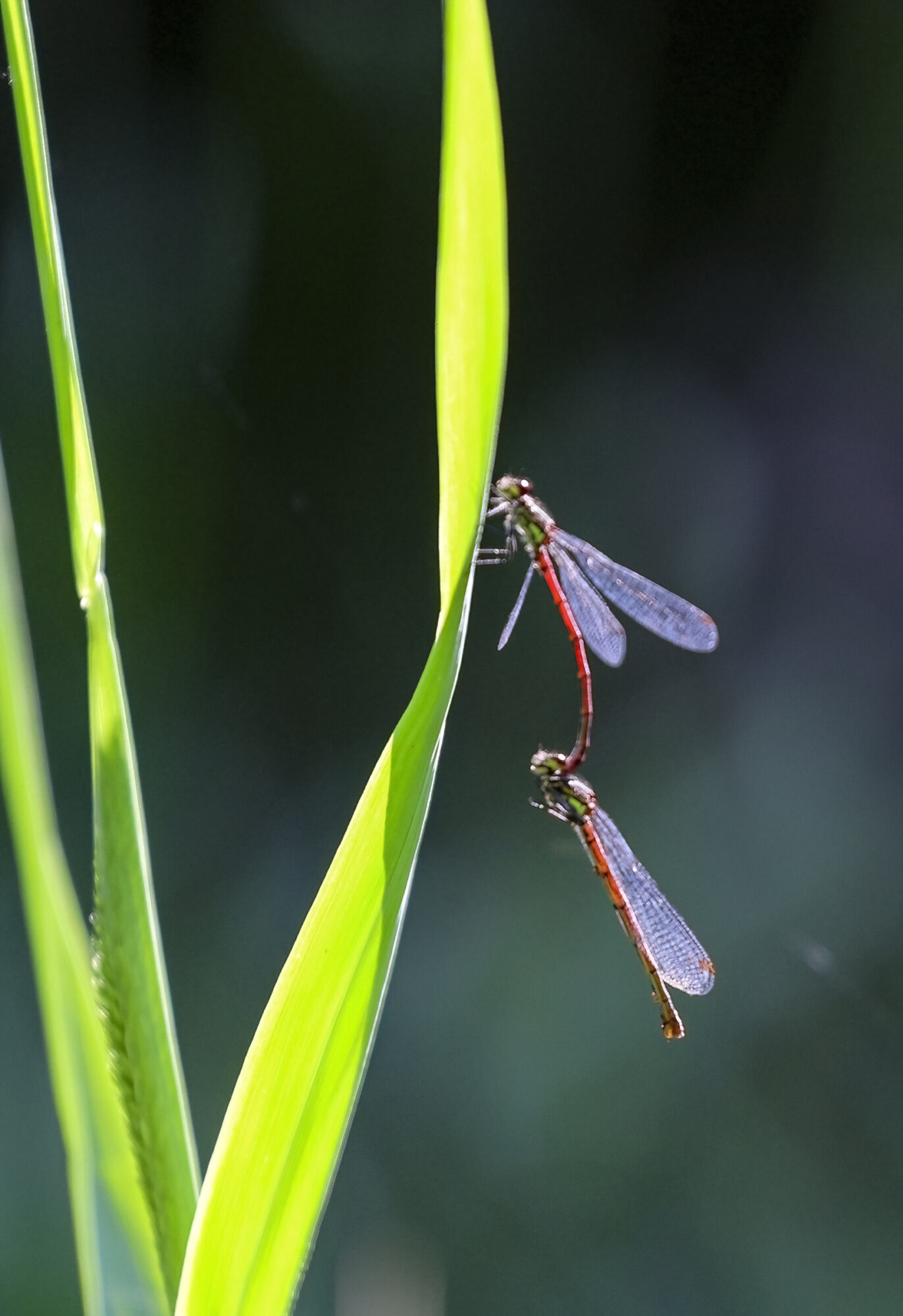 Valokuvaaja: Hannu Tikkanen