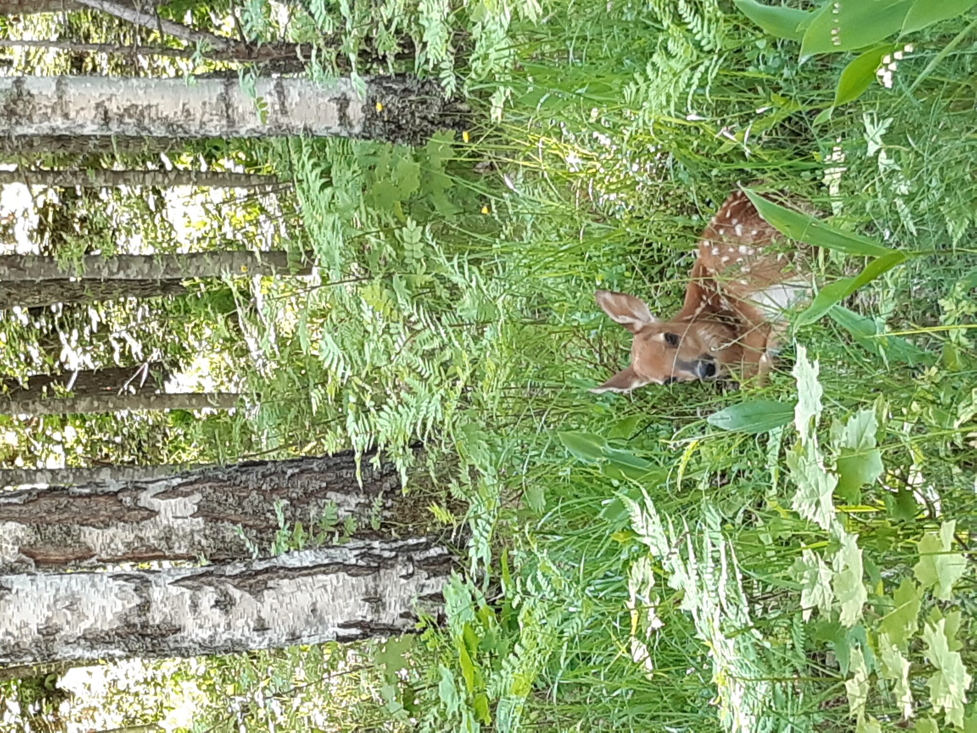 Valokuvaaja: Hannu Suominen Valokuvaaja: Hannu Suominen