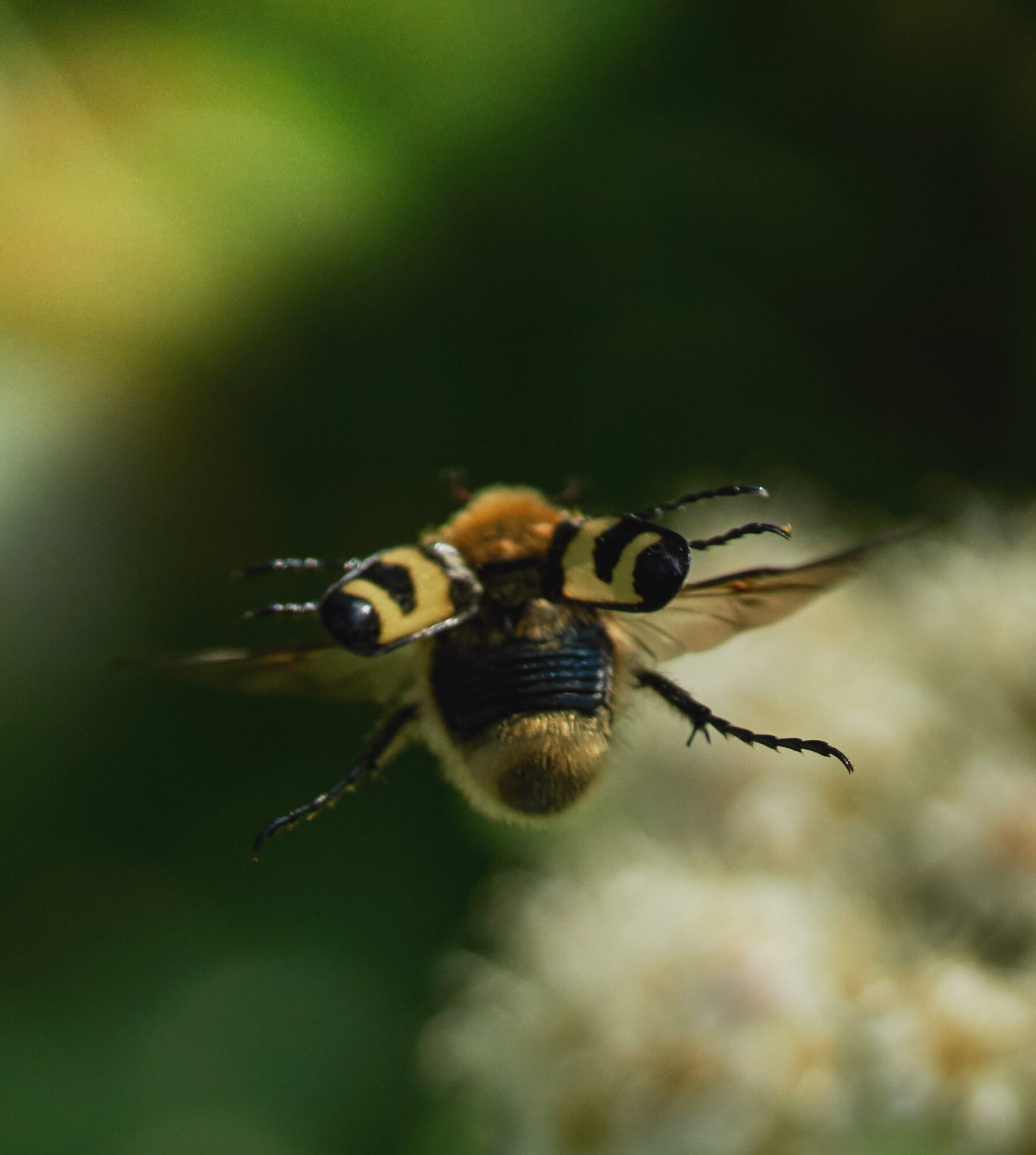 Valokuvaaja: Tarja Kouvo