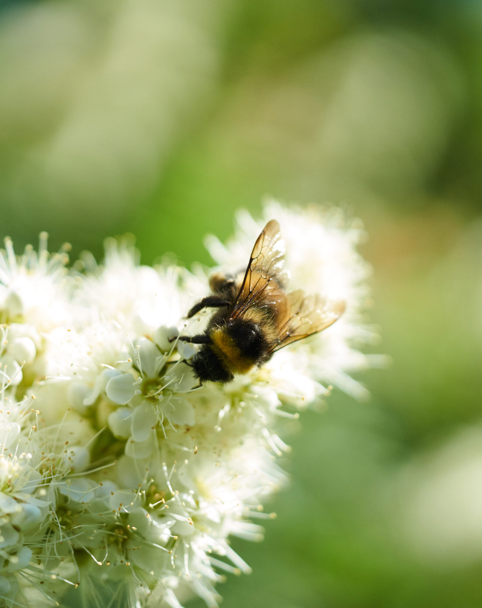 Valokuvaaja: Tarja Kouvo