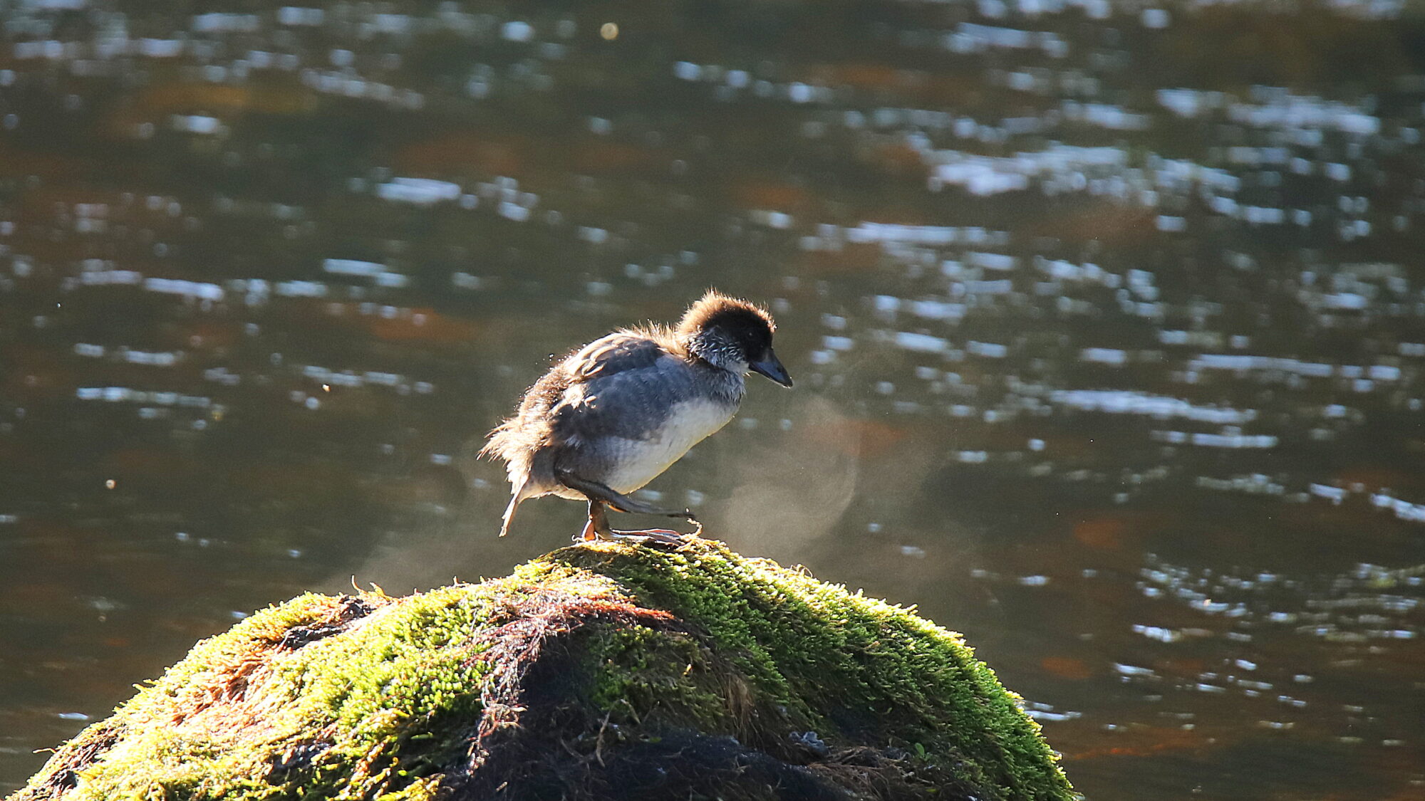 Valokuvaaja: sirpa Jyske