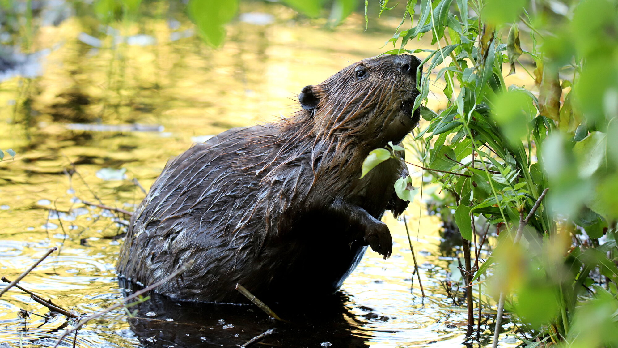 Valokuvaaja: sirpa Jyske
