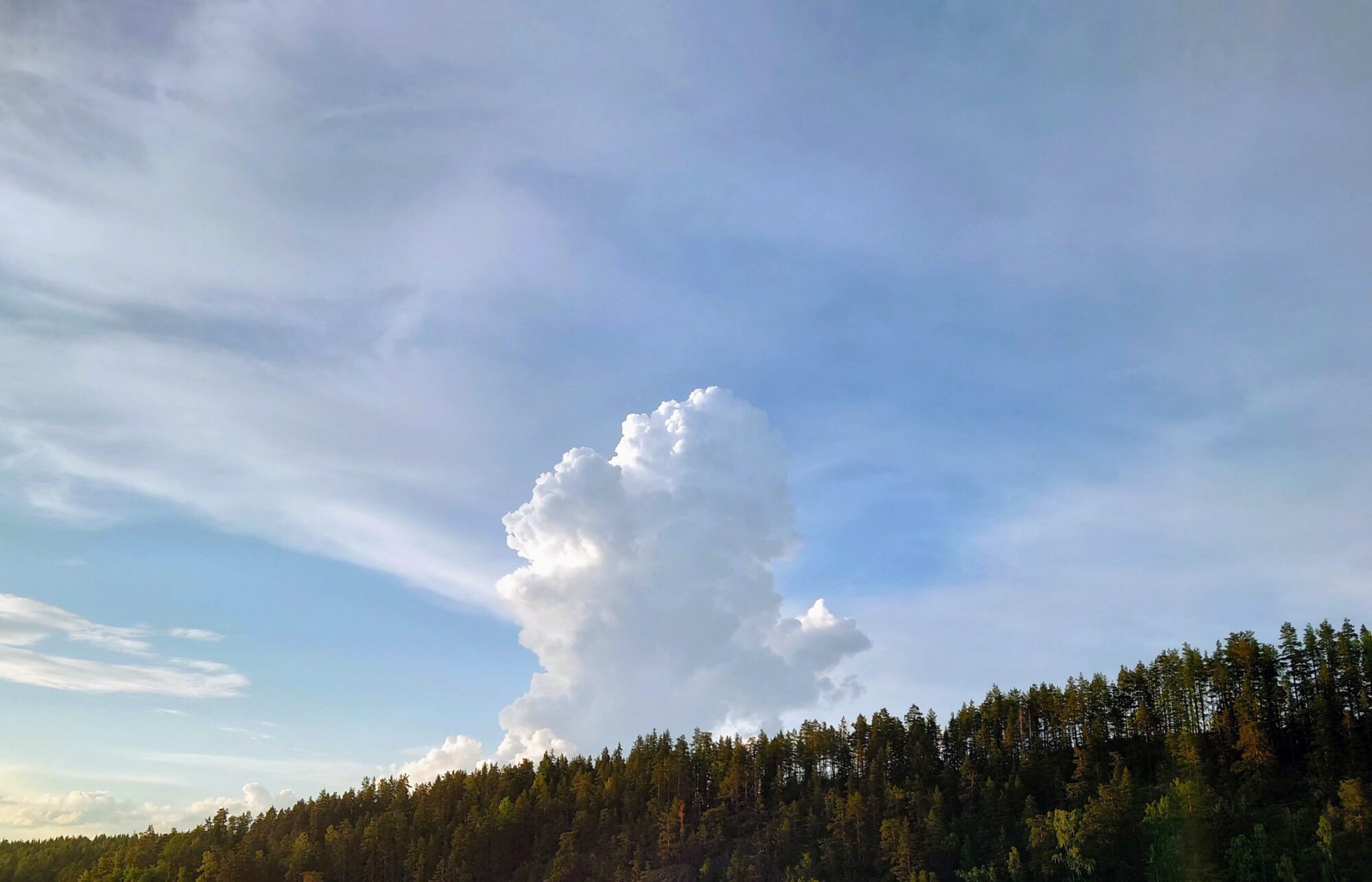 Valokuvaaja: Kati Westerlund