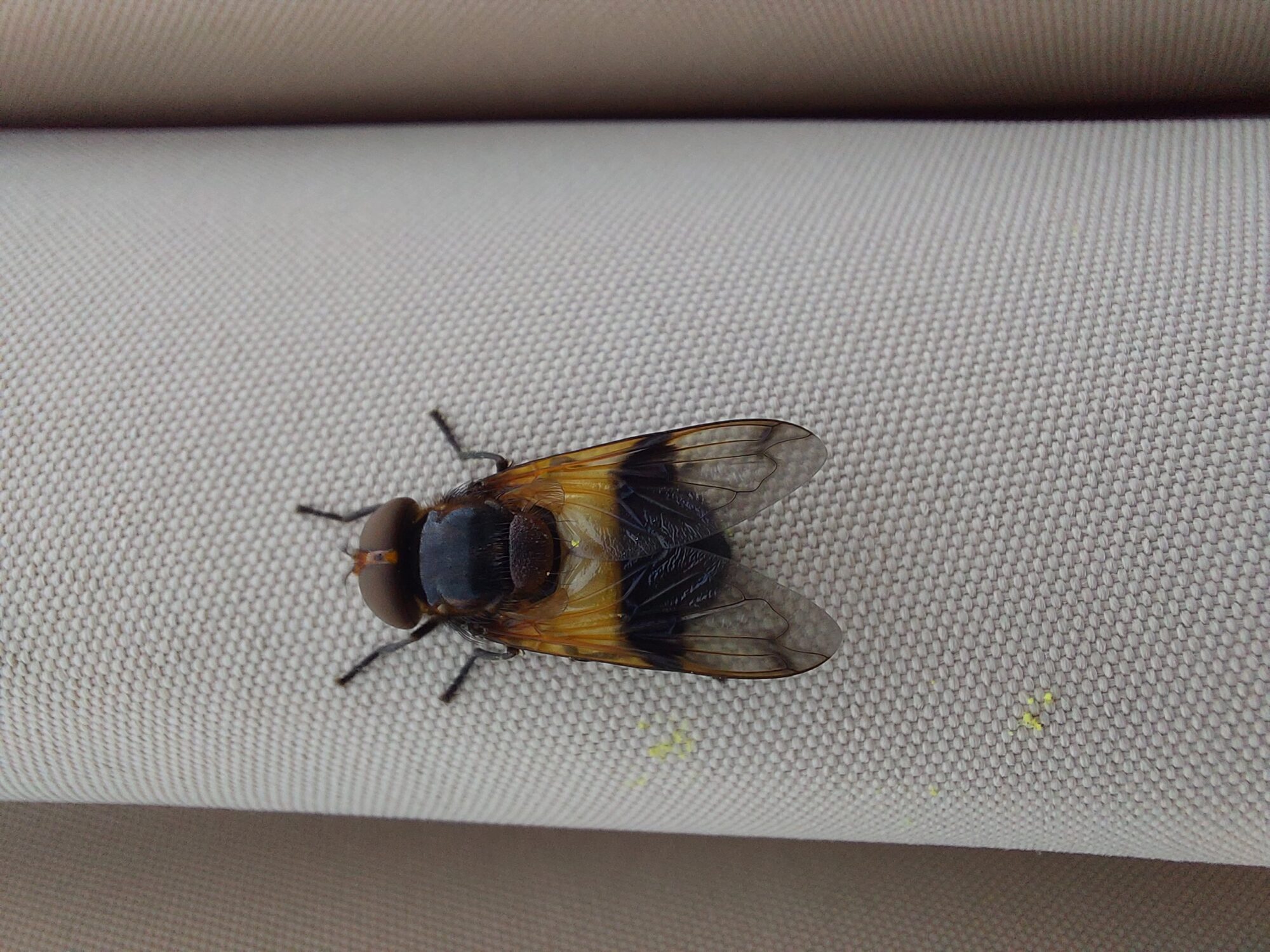 Valokuvaaja: Matias Mäkilä