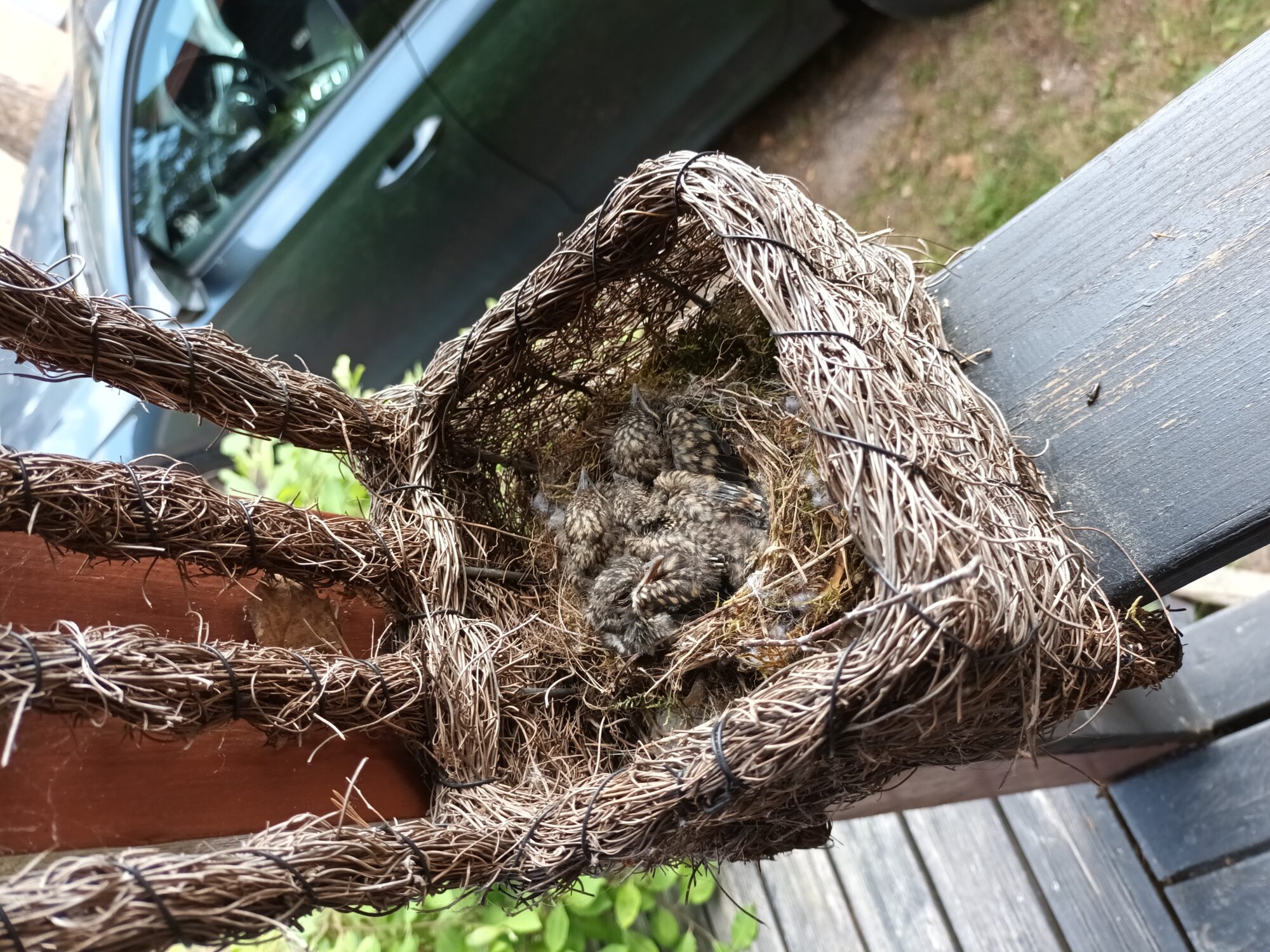 Valokuvaaja: Alvar Ilmonen