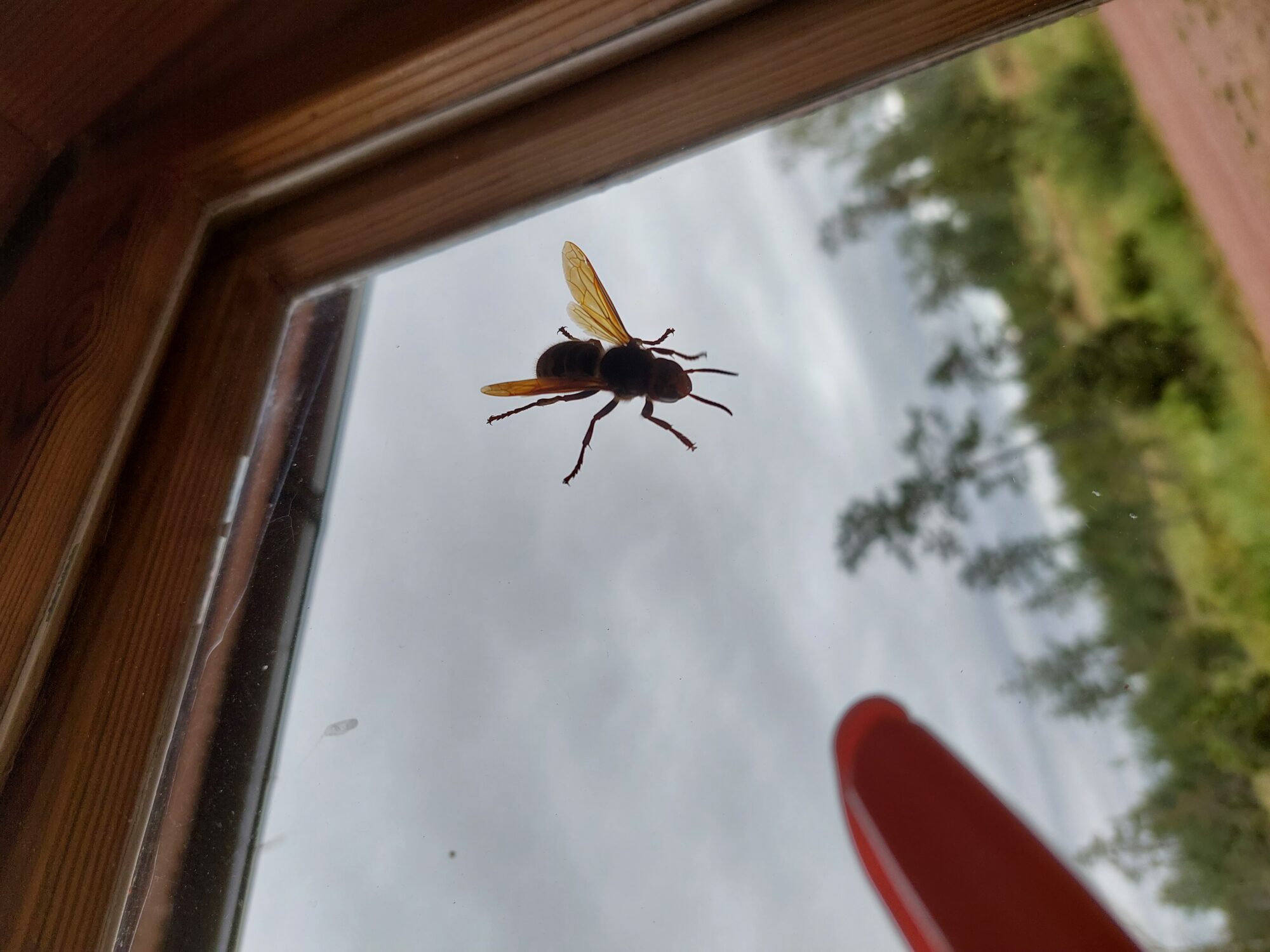 Valokuvaaja: Alexander Salin