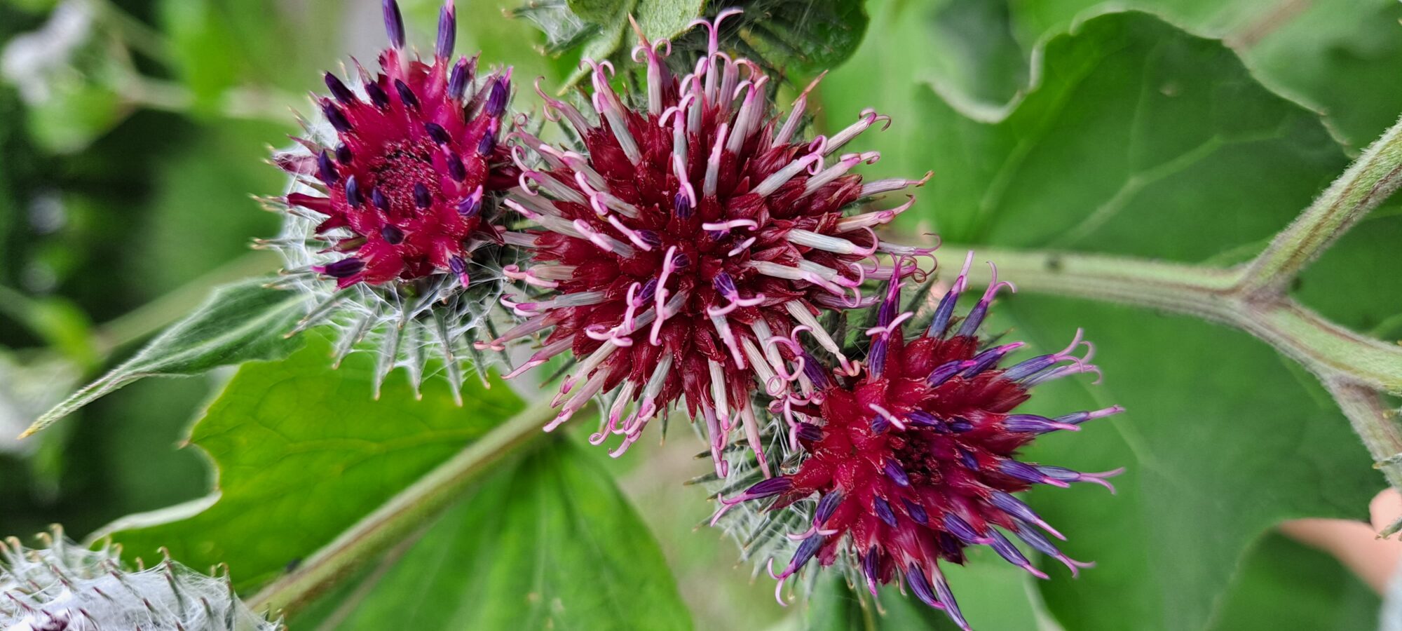 Valokuvaaja: Raisa Vuokola