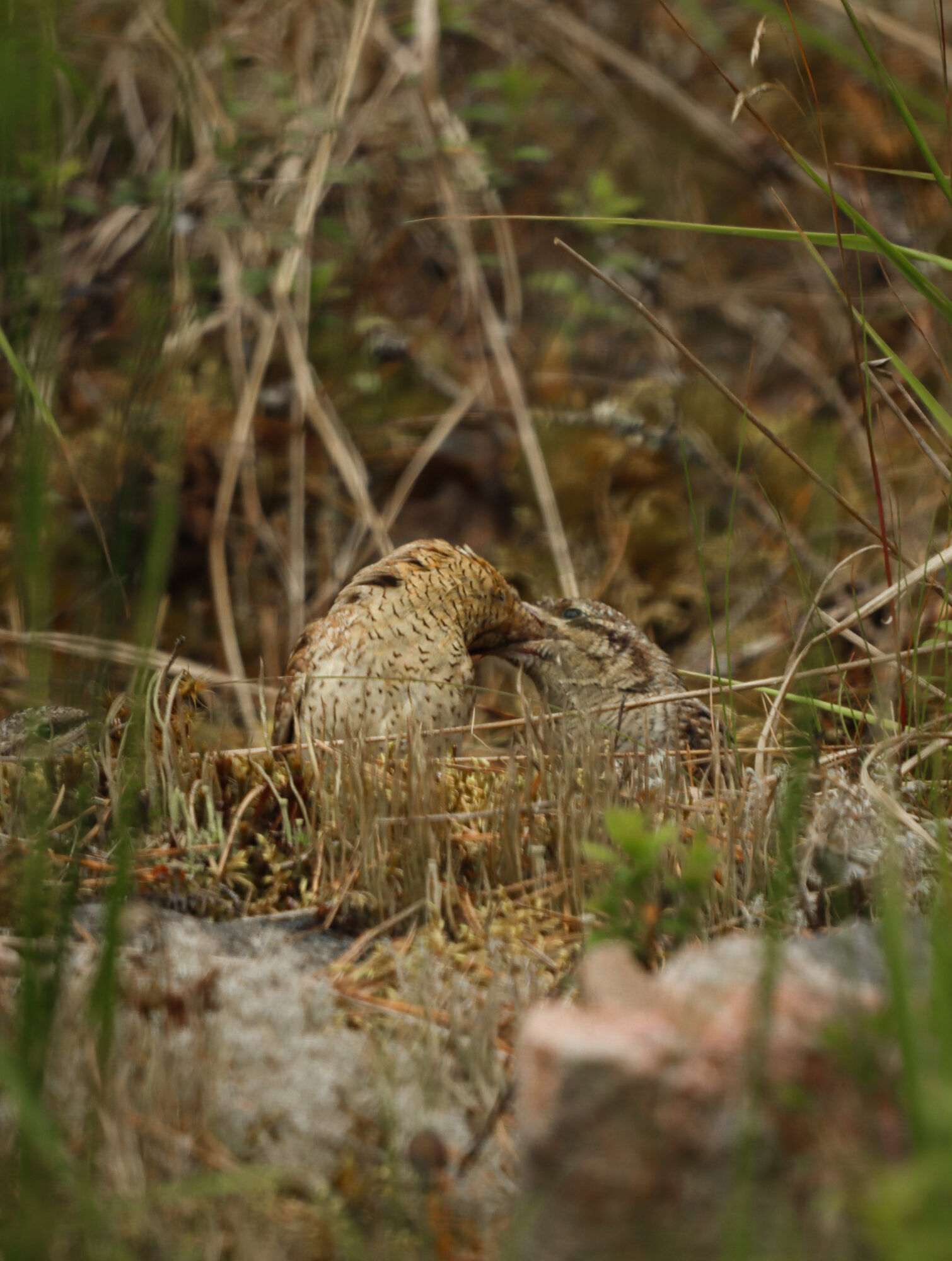 Valokuvaaja: Katariina Heikkonen