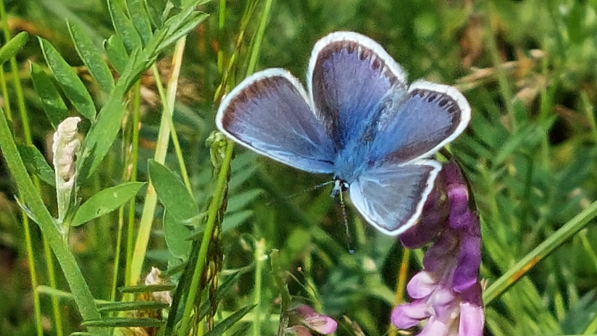 Valokuvaaja: Tarja Naukkarinen