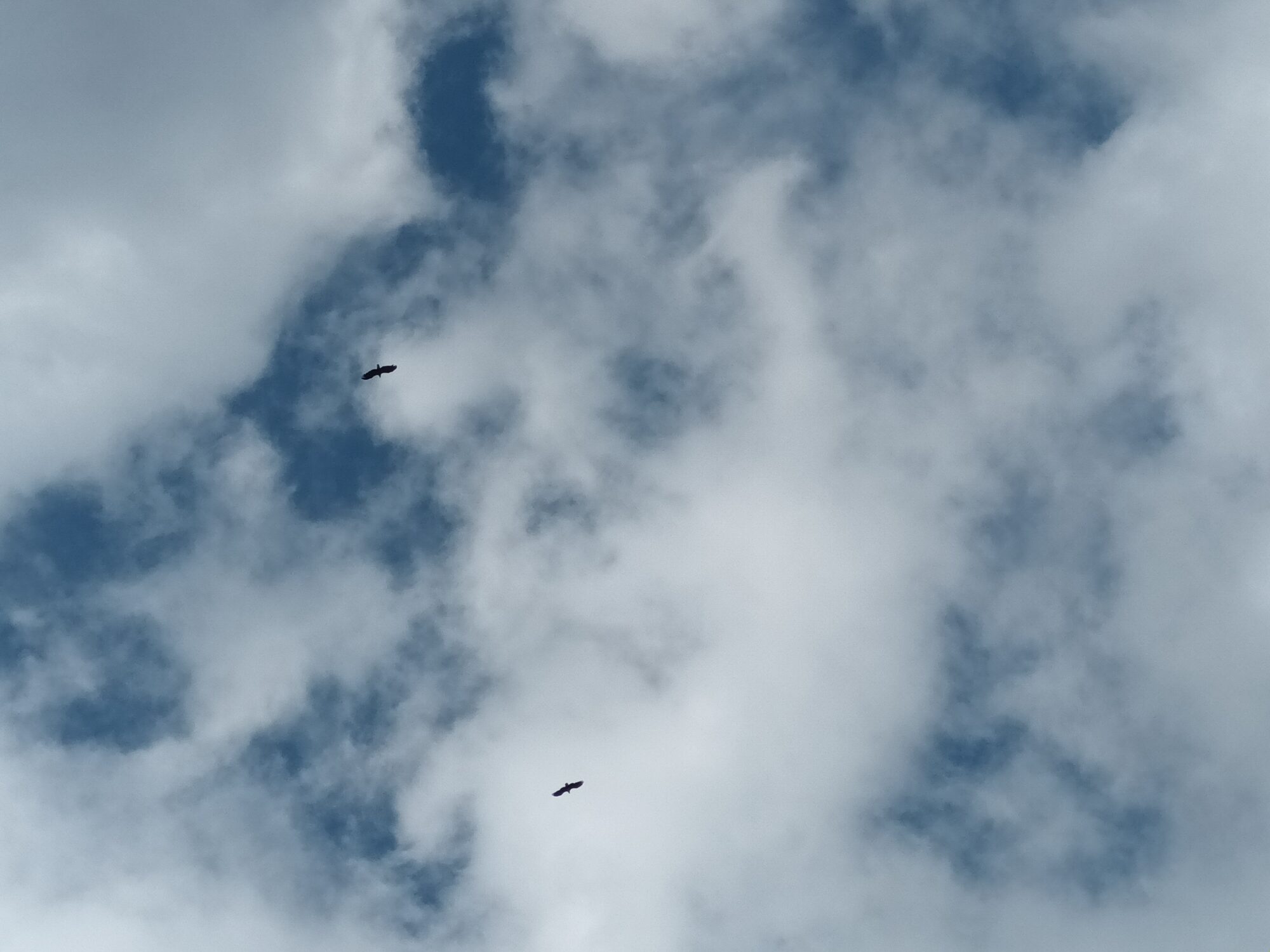 Valokuvaaja: Alvar Ilmonen