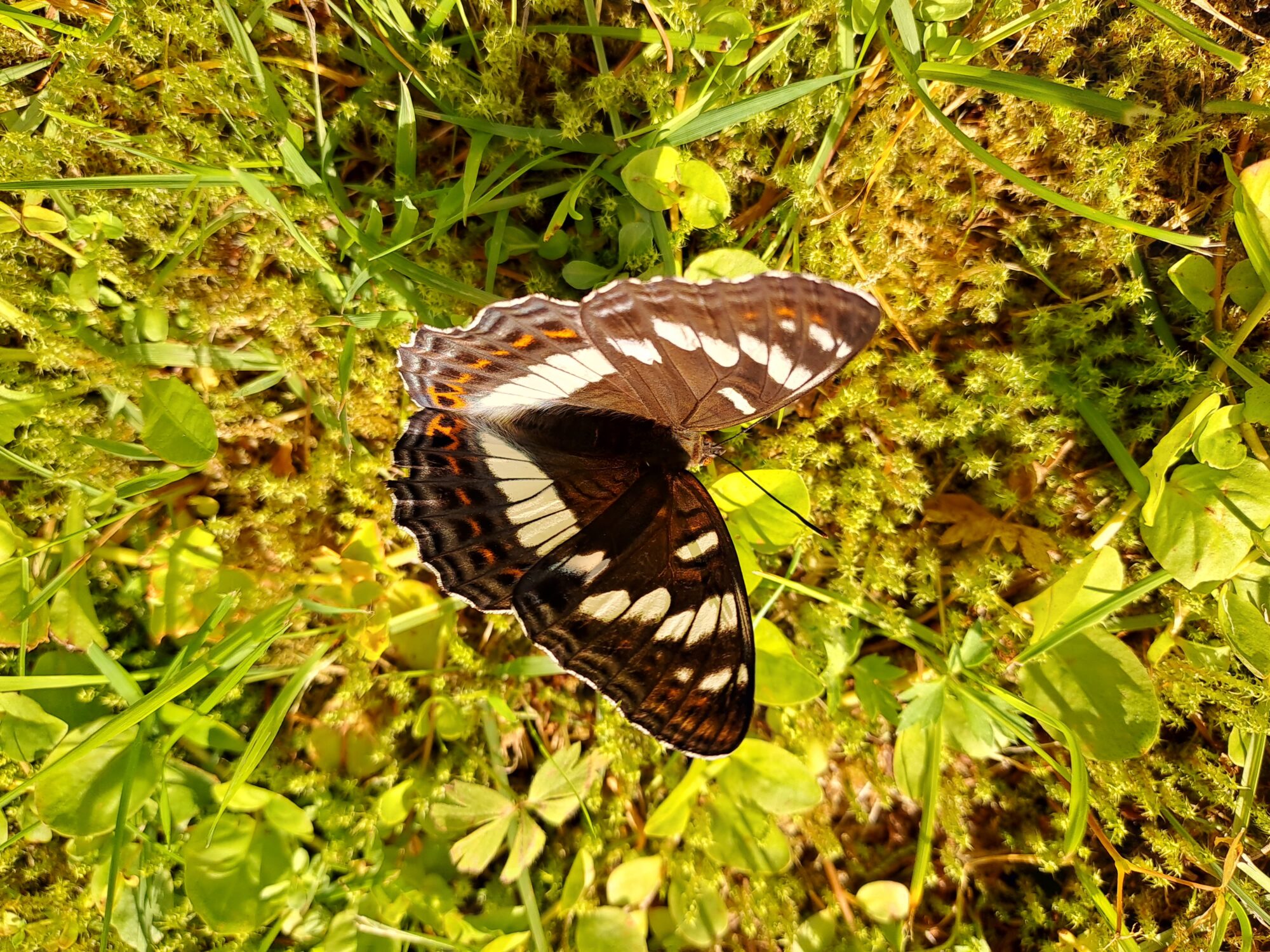 Valokuvaaja: Eija Johanna Saastamoinen
