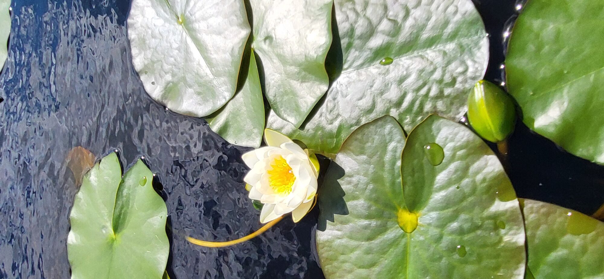 Valokuvaaja: Jenna Pietilä