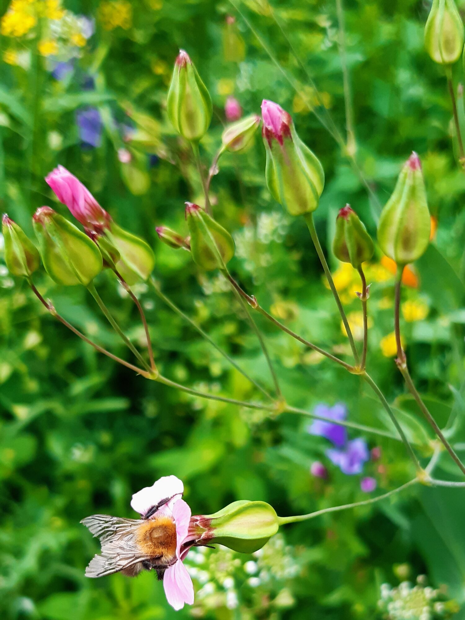 Valokuvaaja: Hannu Suominen