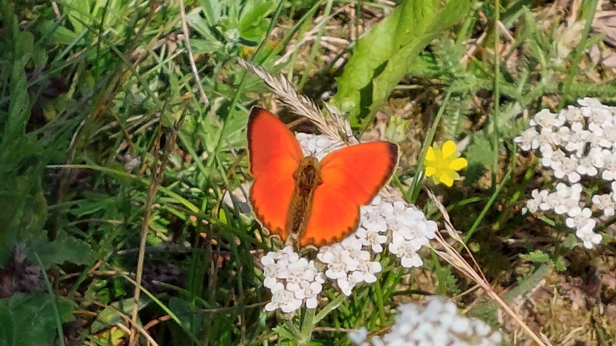 Valokuvaaja: Tarja Naukkarinen Valokuvaaja: Tarja Naukkarinen