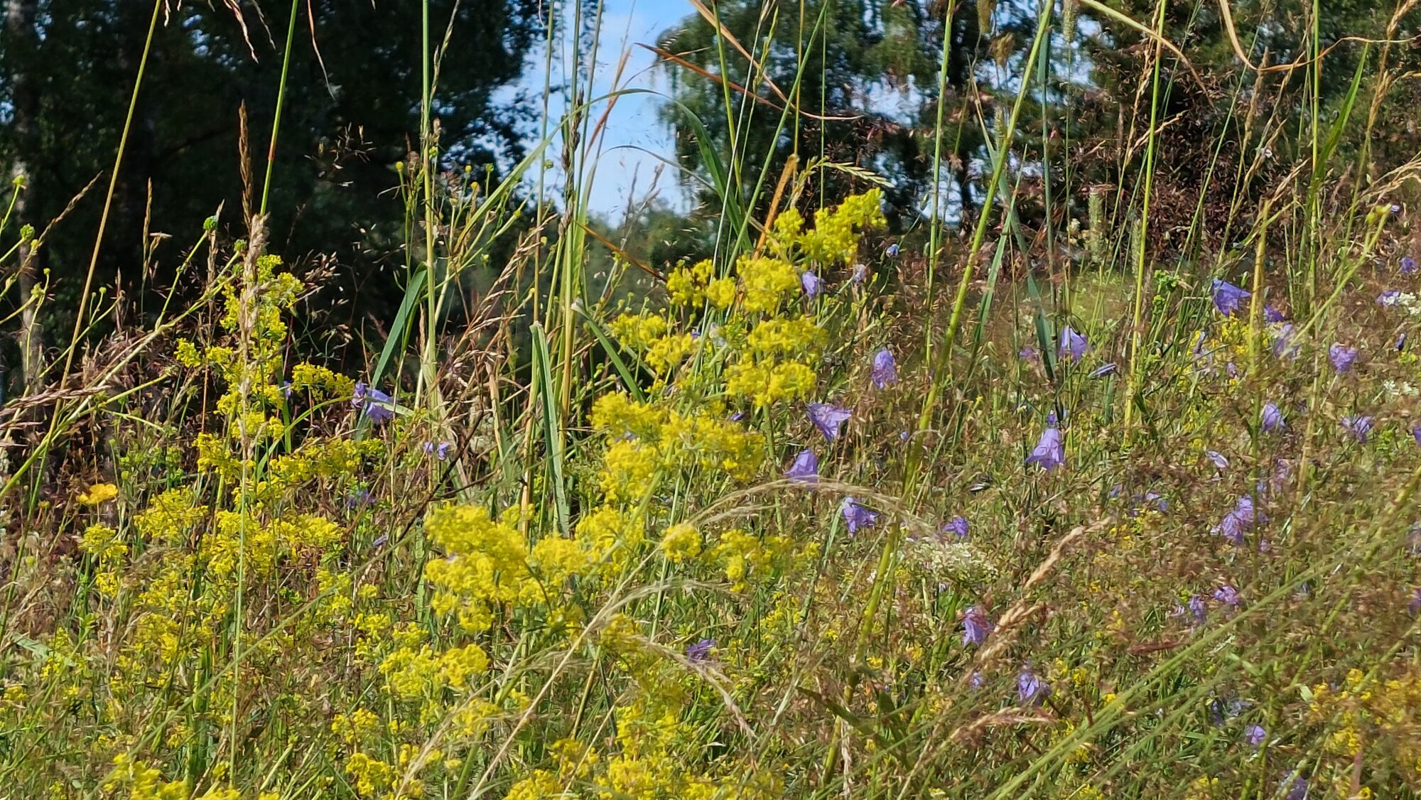 Valokuvaaja: Tarja Naukkarinen