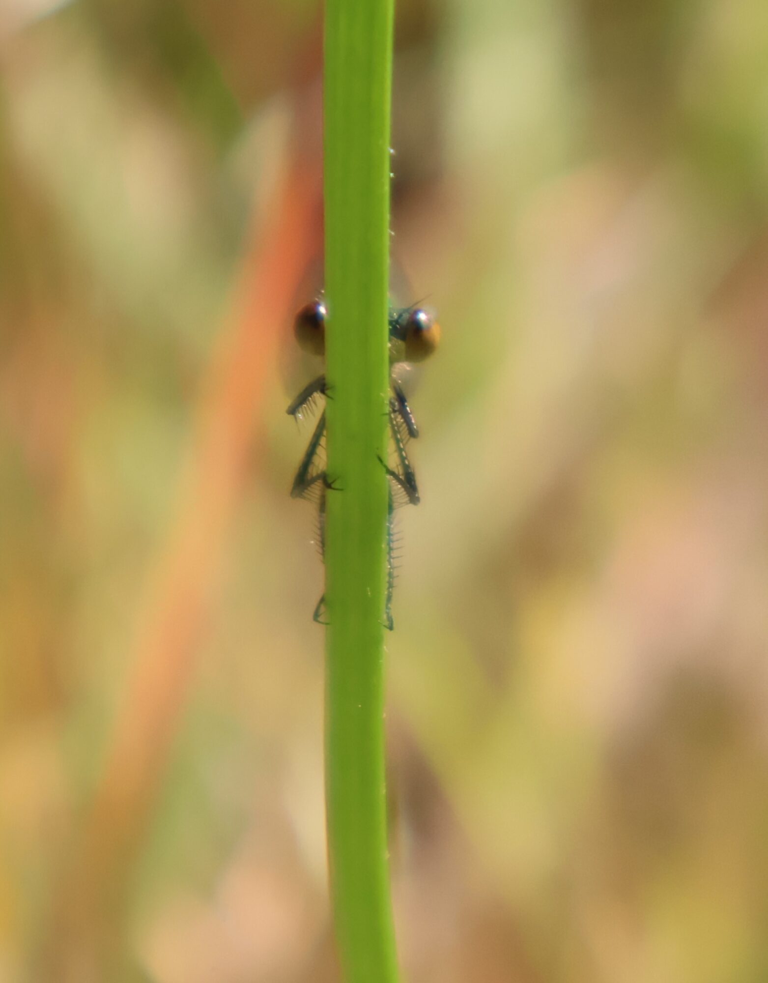 Valokuvaaja: Hanna Rönty