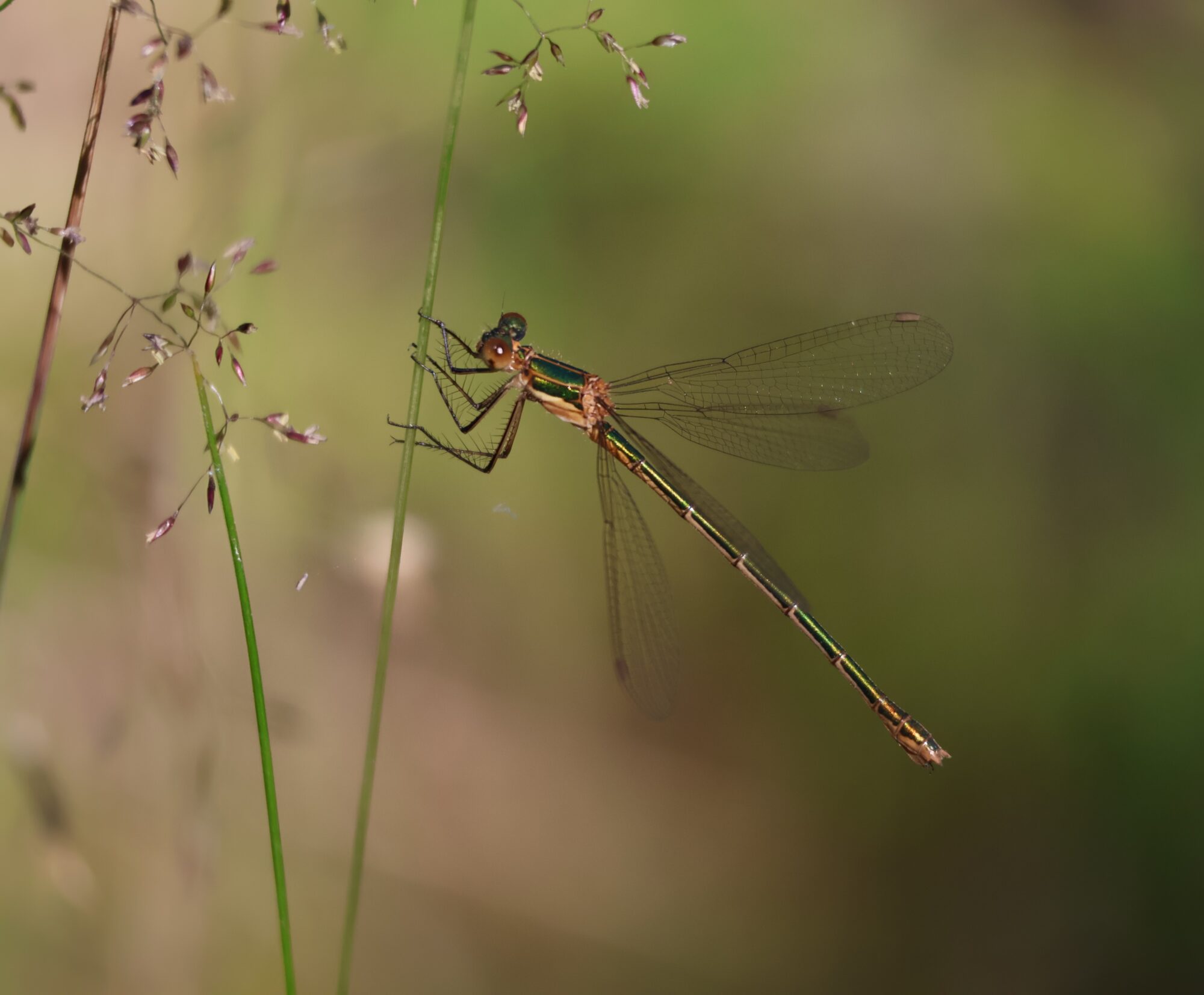Valokuvaaja: Hanna Rönty