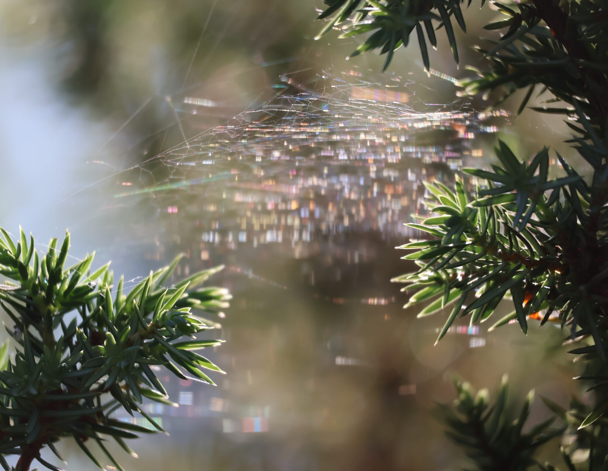 Valokuvaaja: Hanna Rönty