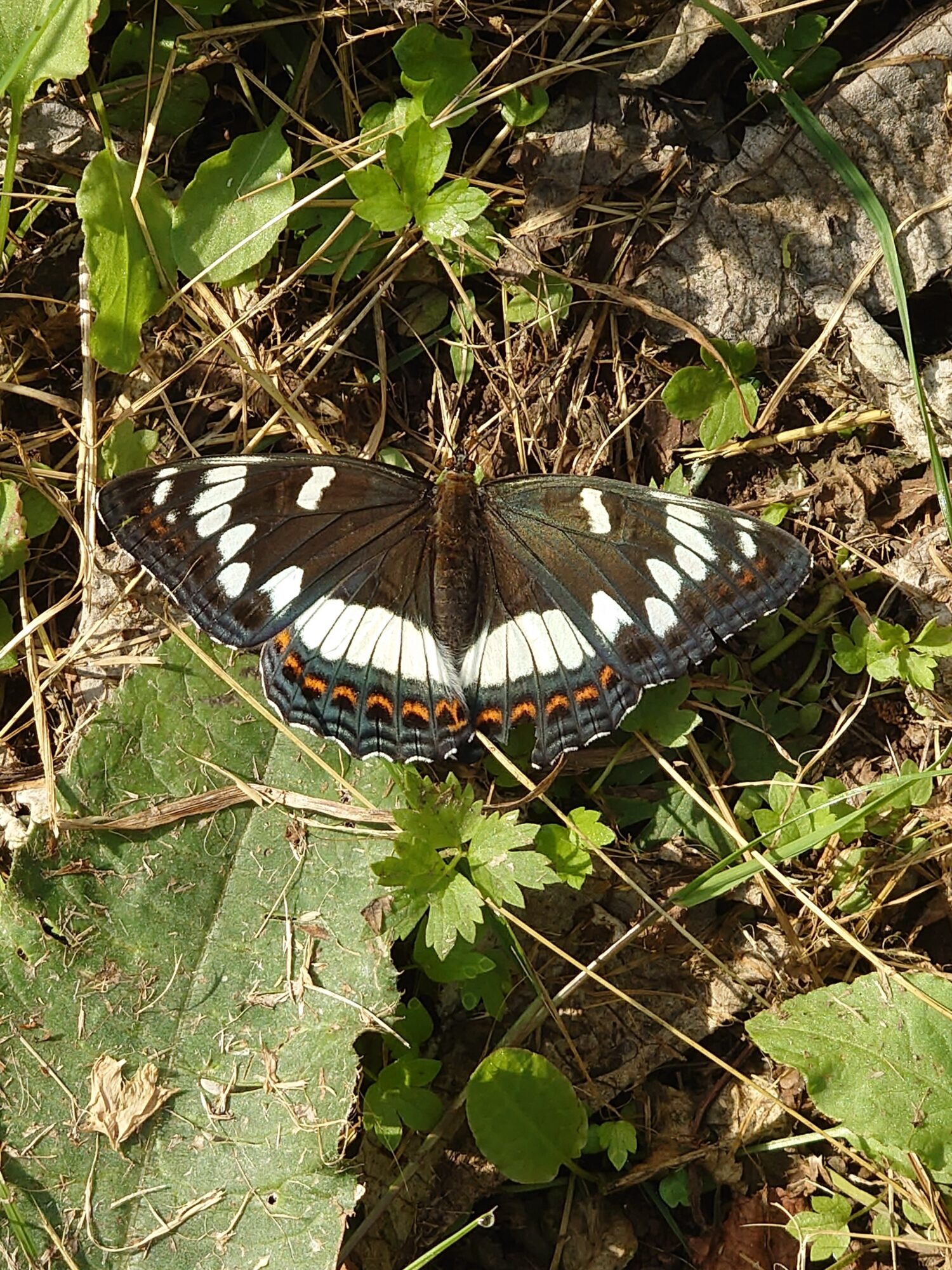 Valokuvaaja: Jouni Roppola.