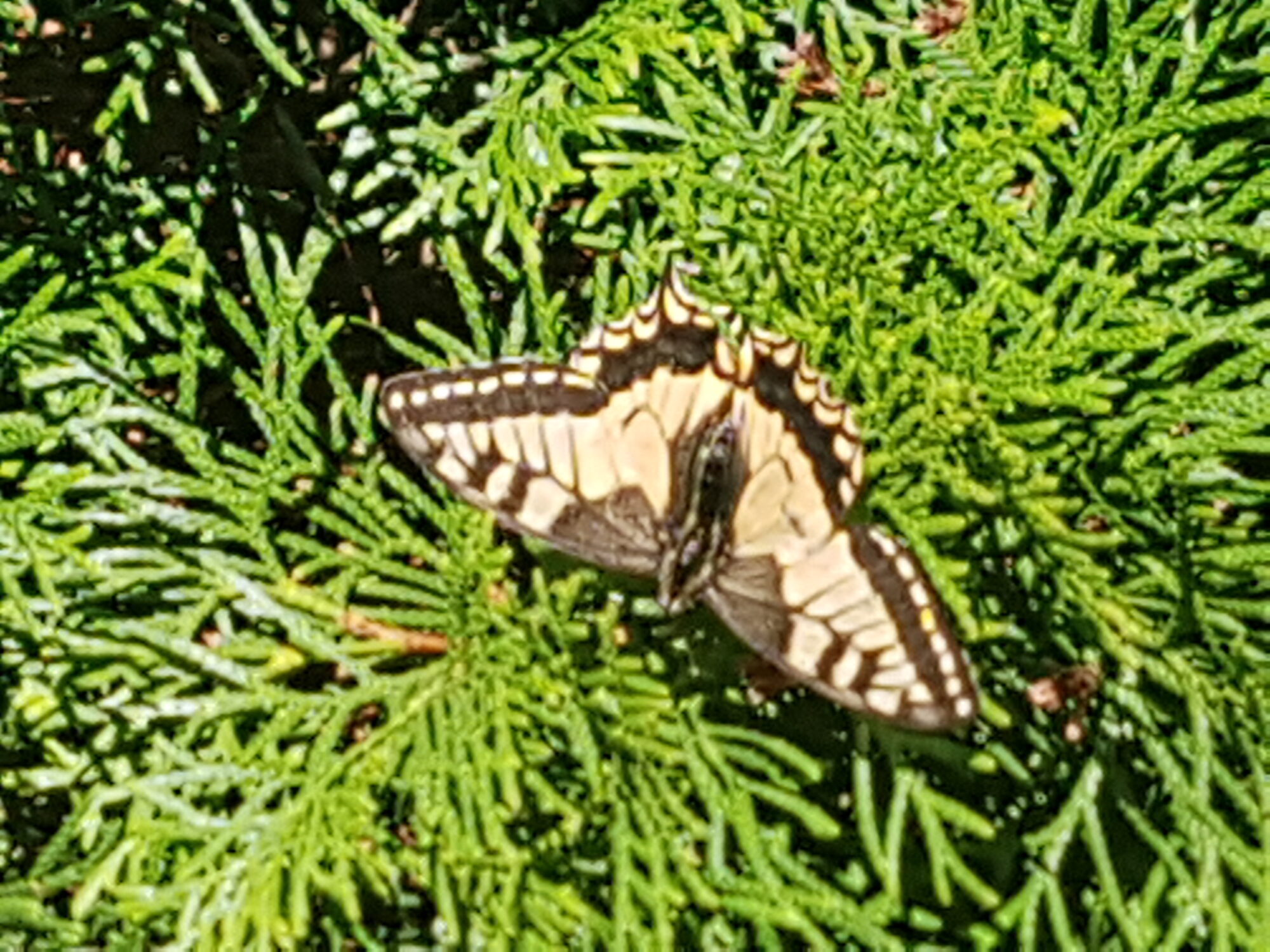 Valokuvaaja: Timo Hoikkala Valokuvaaja: Timo Hoikkala