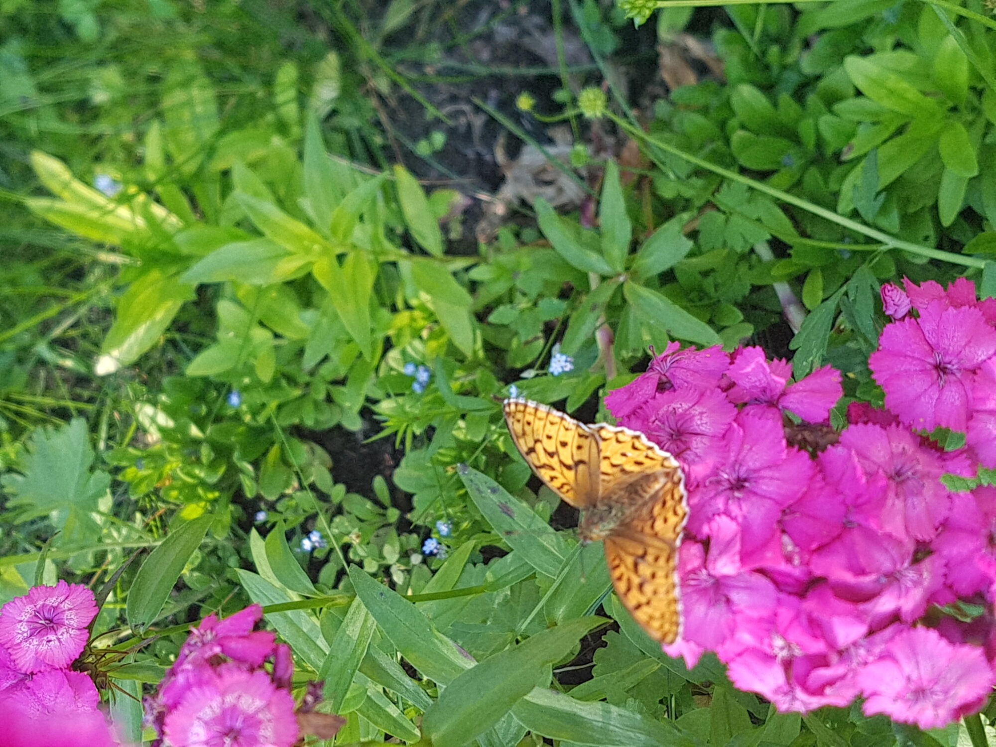 Valokuvaaja: Timo Hoikkala