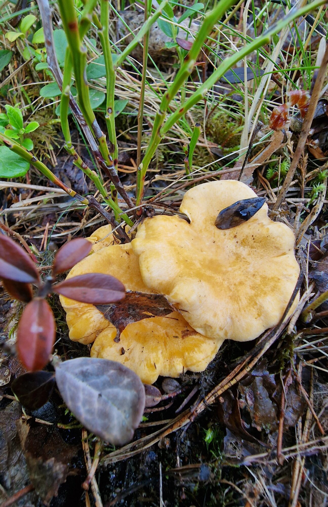 Valokuvaaja: Hanna Rönty