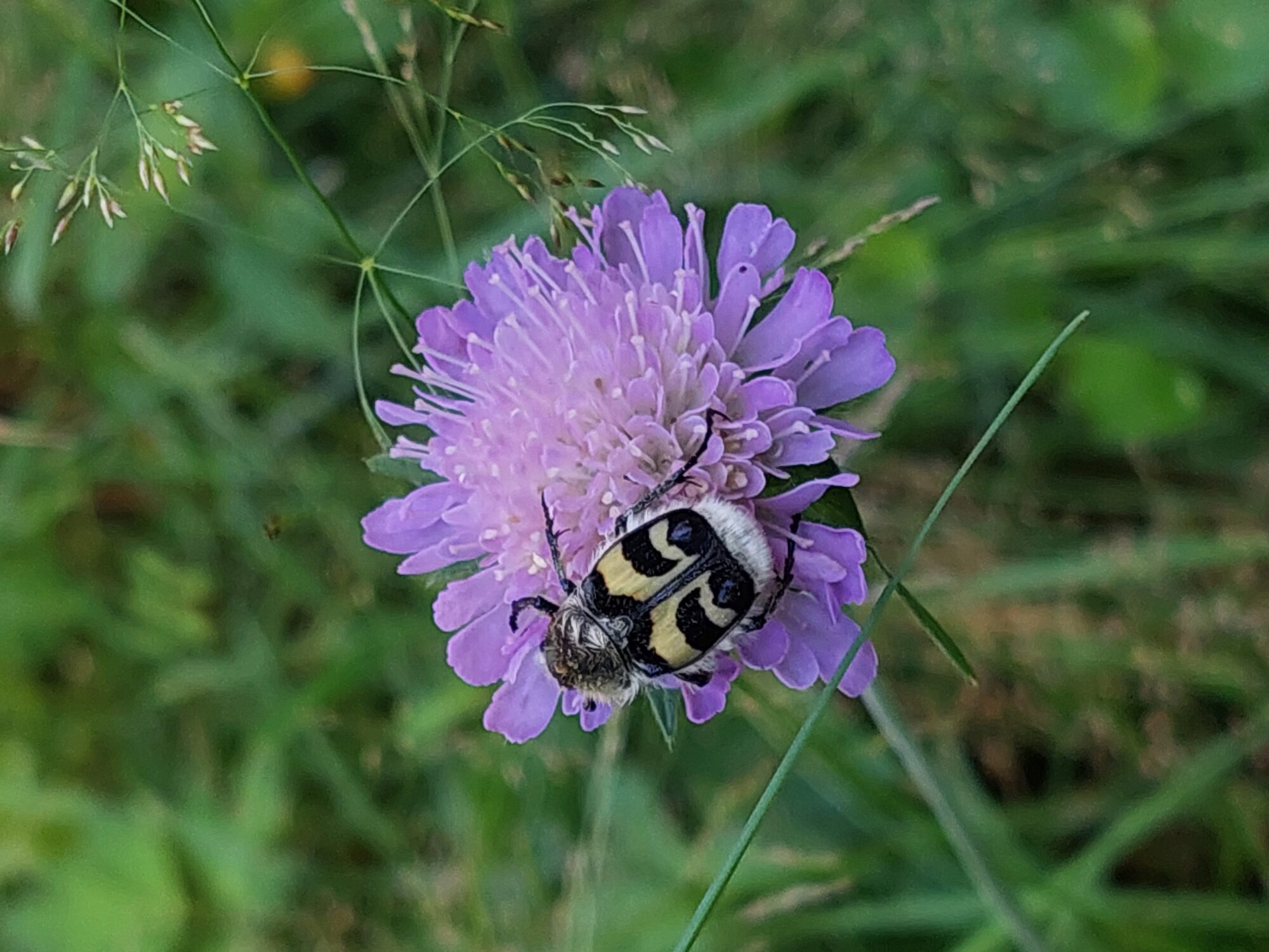 Valokuvaaja: Harri Taina