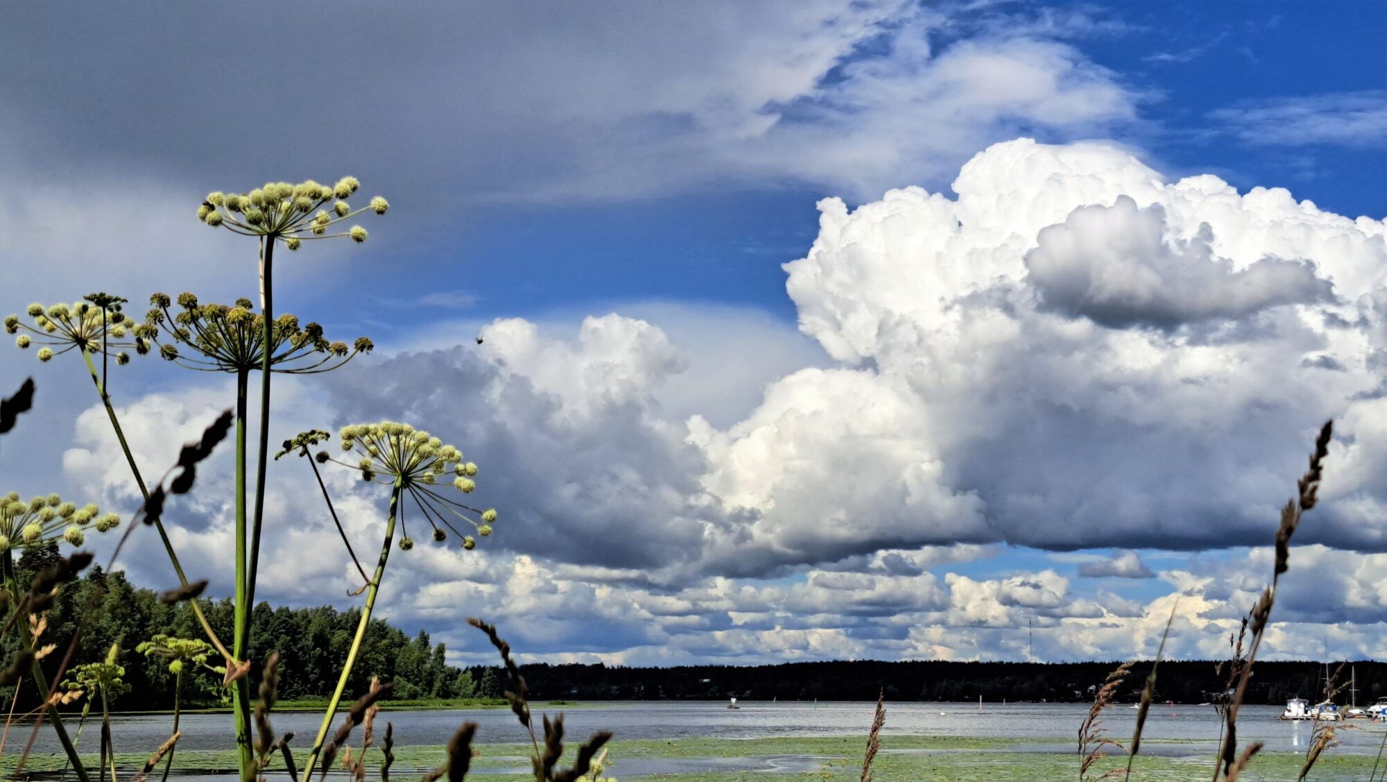 Valokuvaaja: Irja Lehtinen