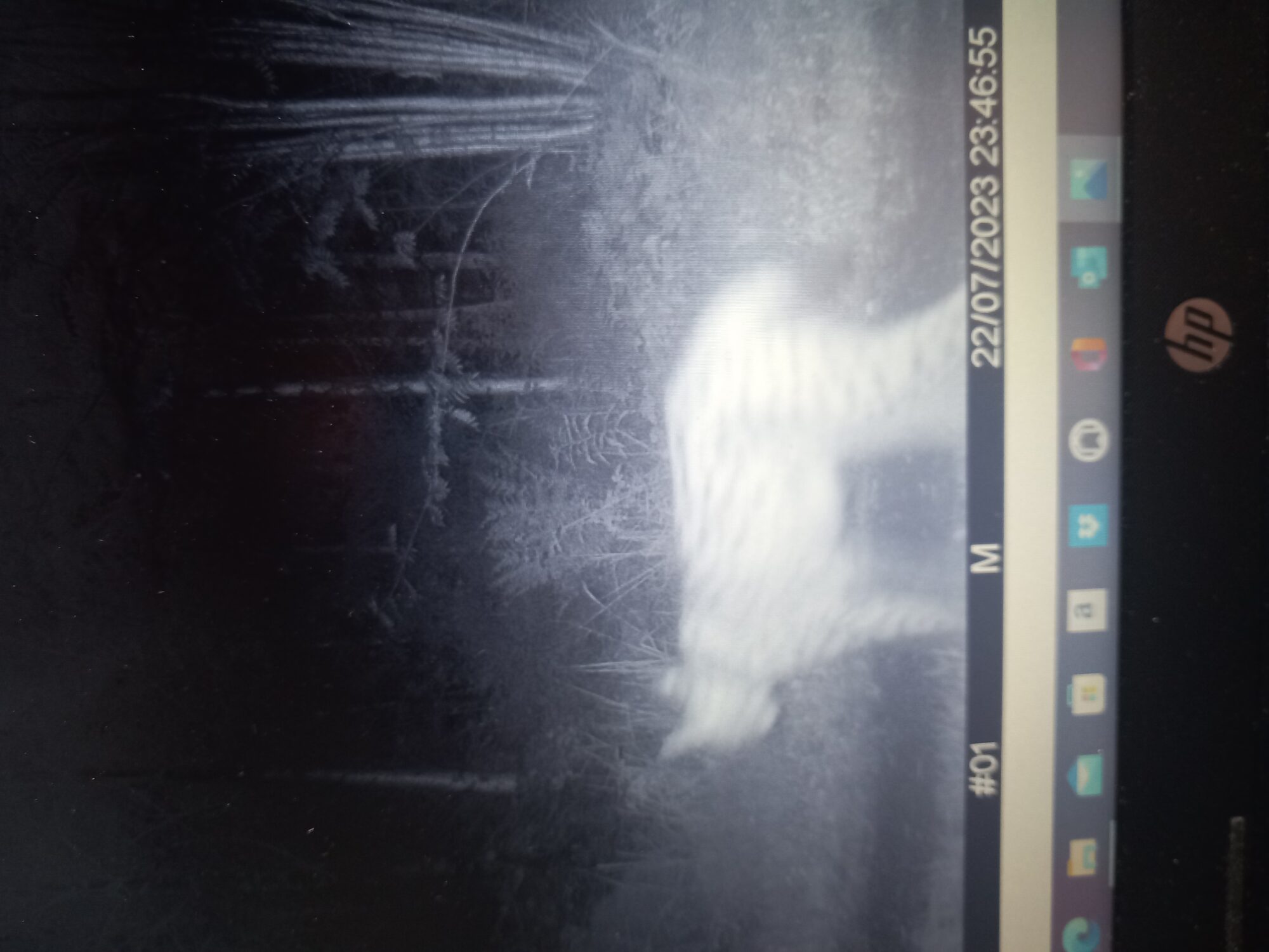 Valokuvaaja: Jaana Vanhala