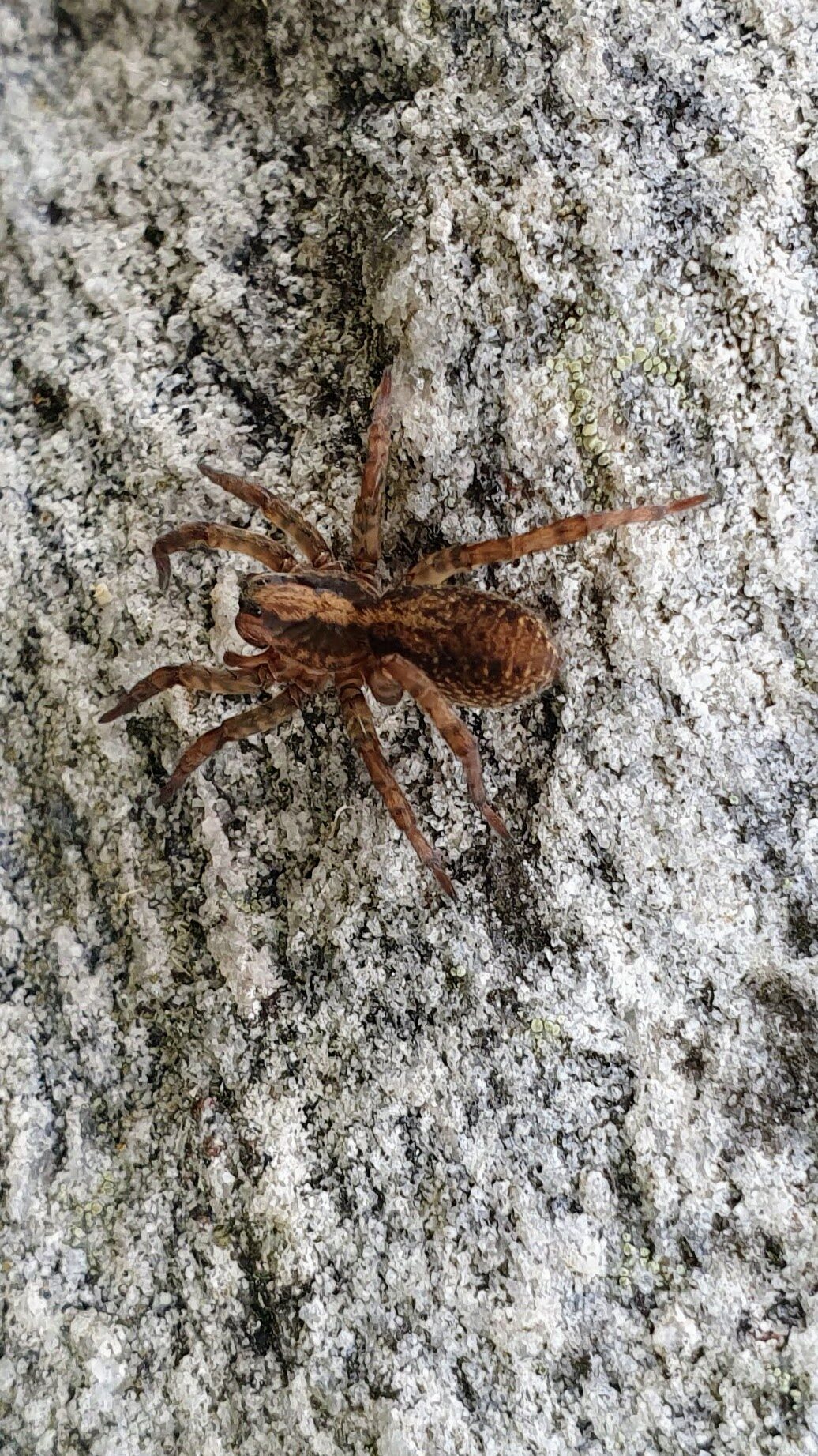 Valokuvaaja: Tatu Rentola