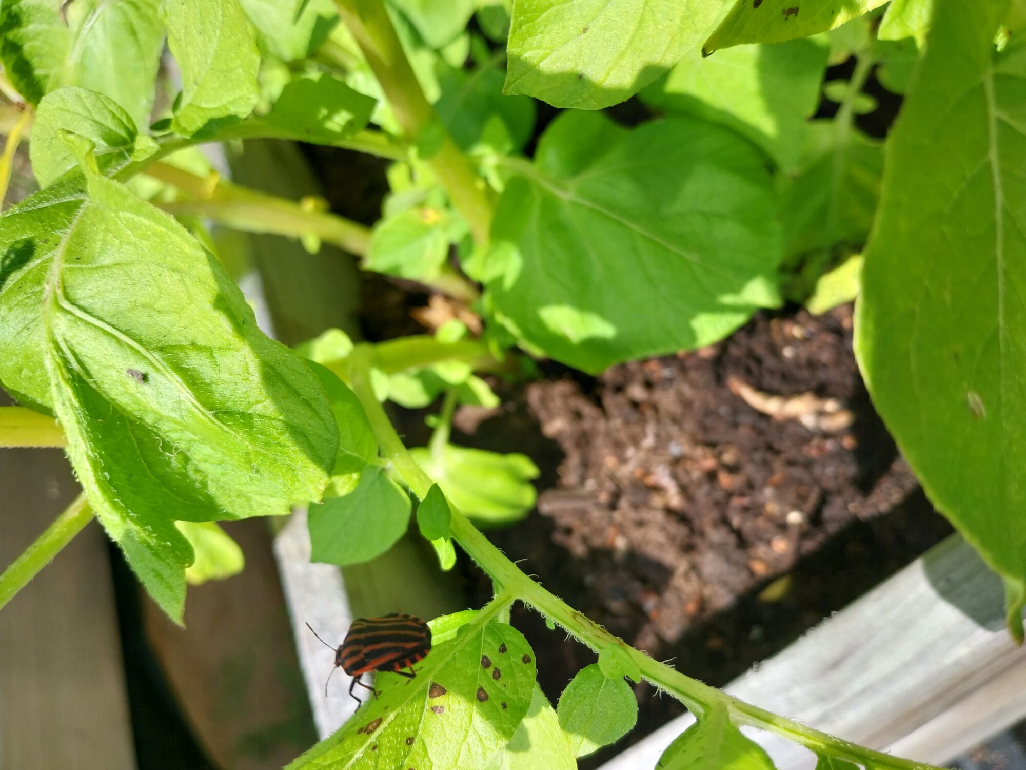 Valokuvaaja: Anna Tourunen Valokuvaaja: Anna Tourunen