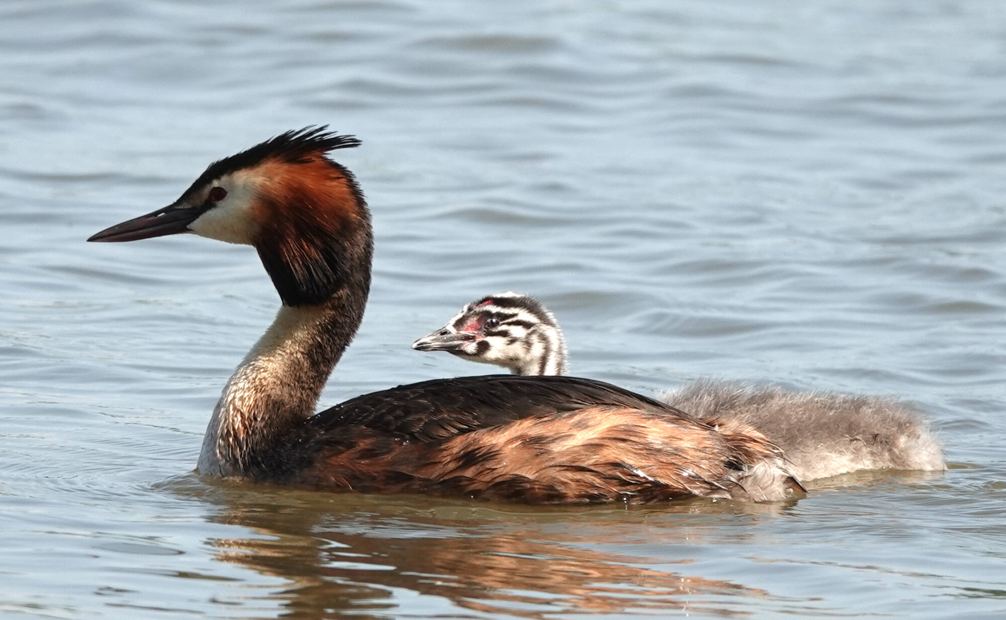 Valokuvaaja: Pekka Heino
