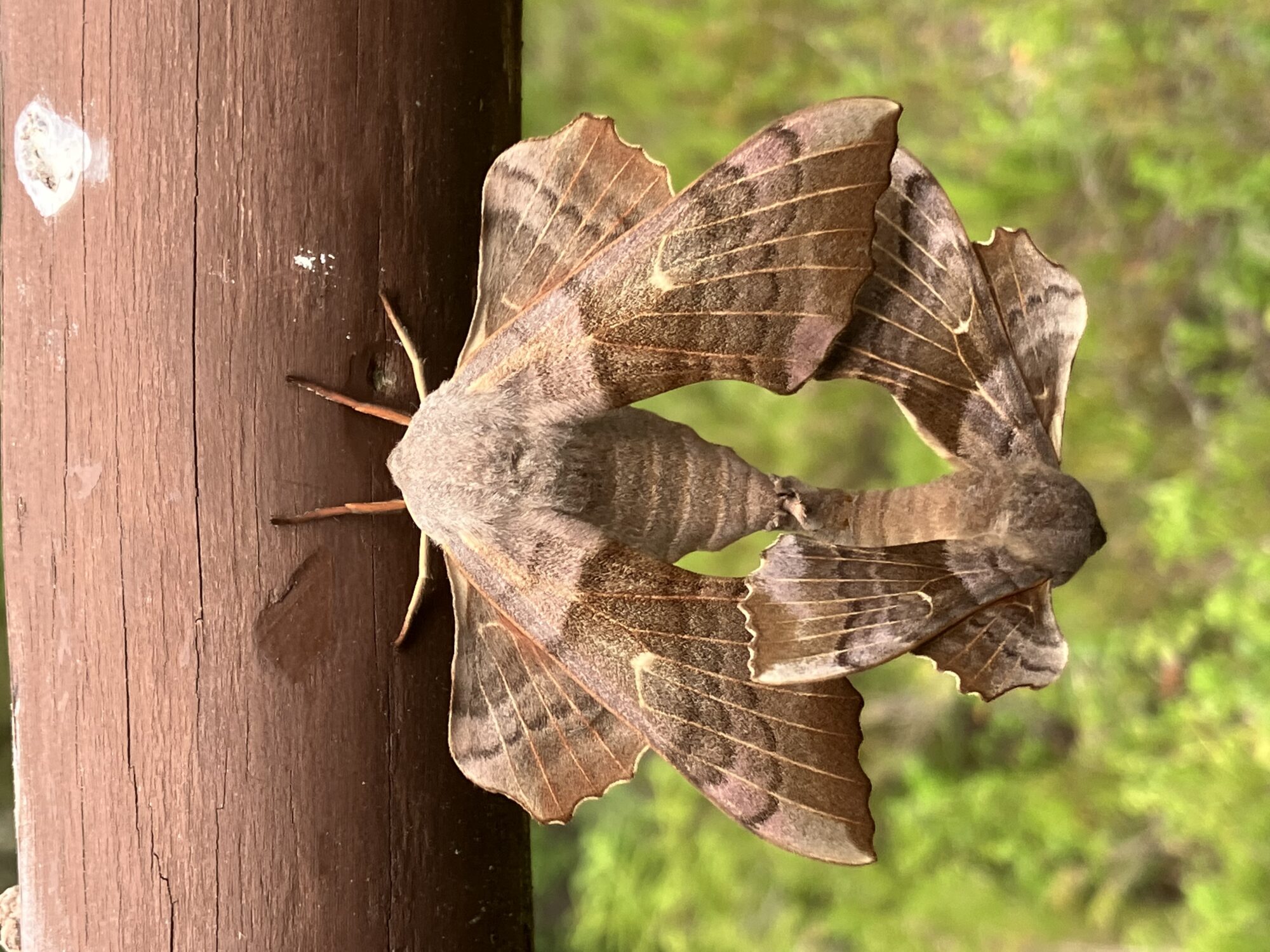 Valokuvaaja: Mika Vepsäläinen