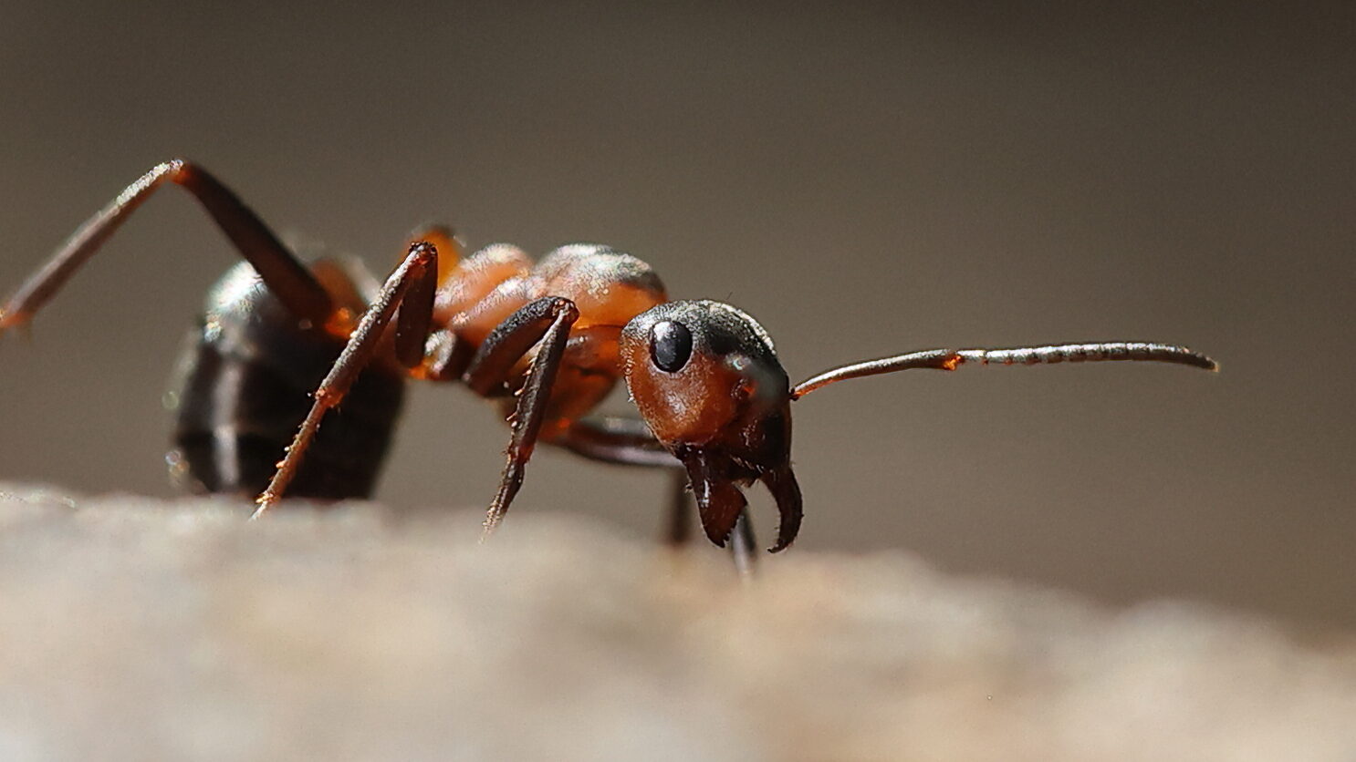 Valokuvaaja: Janne Salomeri