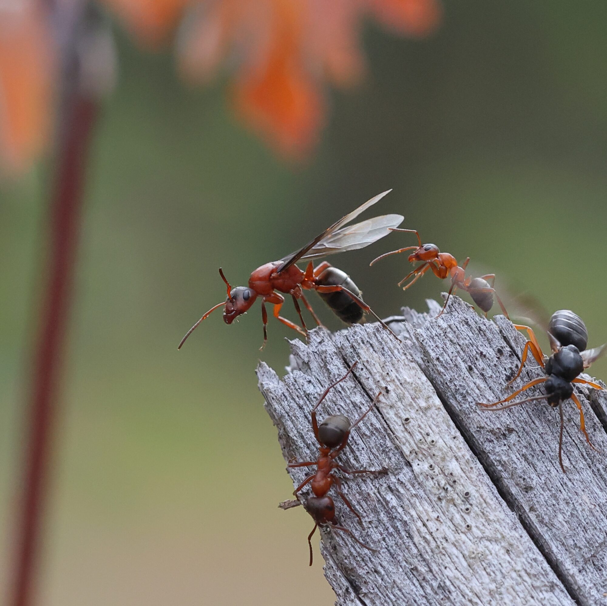 Valokuvaaja: Janne Salomeri
