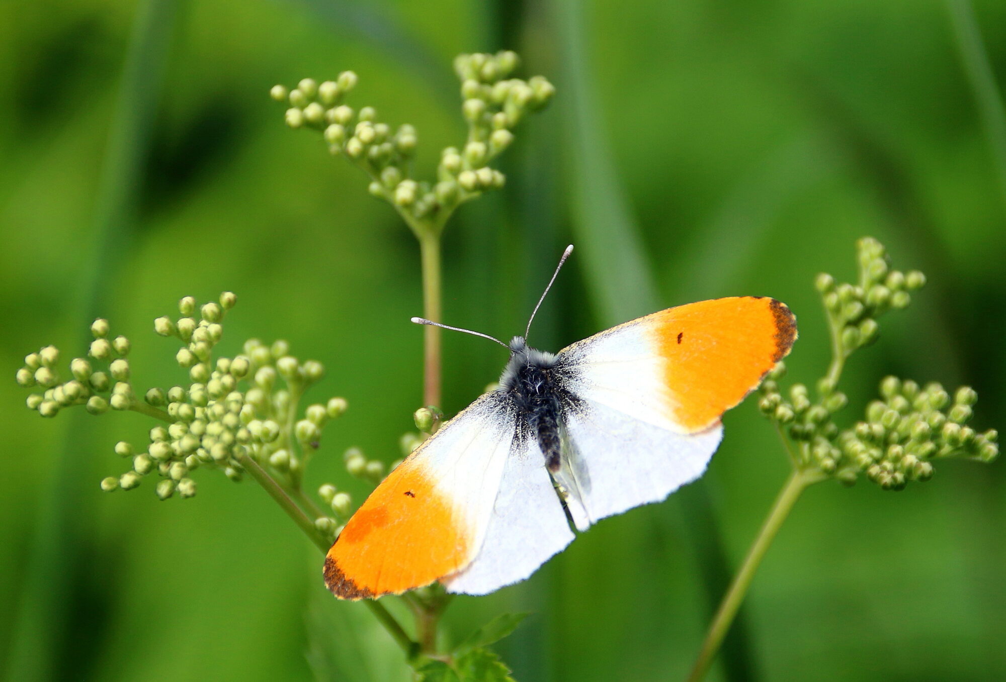 Valokuvaaja: Tuukka Pahtamaa