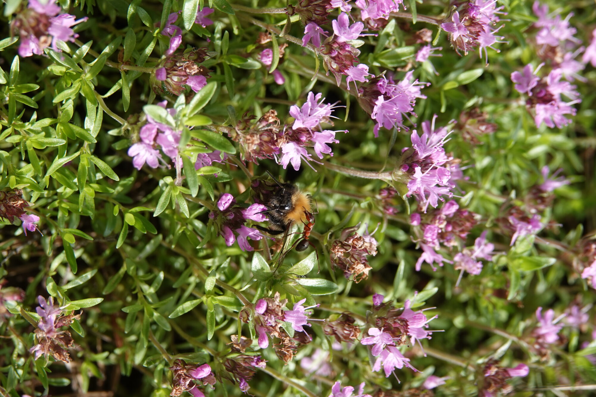Valokuvaaja: Jenna Pitkänen