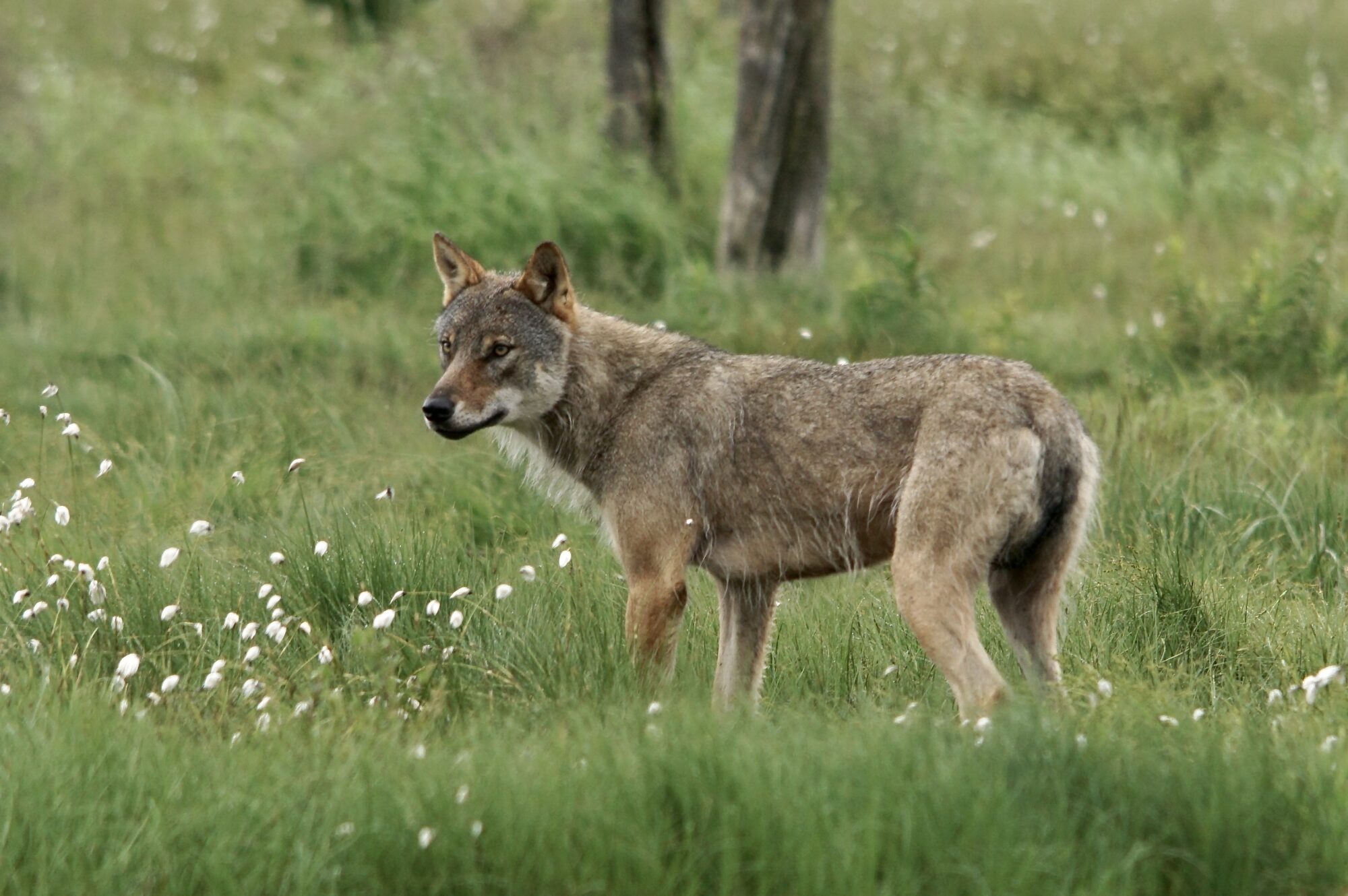 Valokuvaaja: Markku Ranta-Eilola