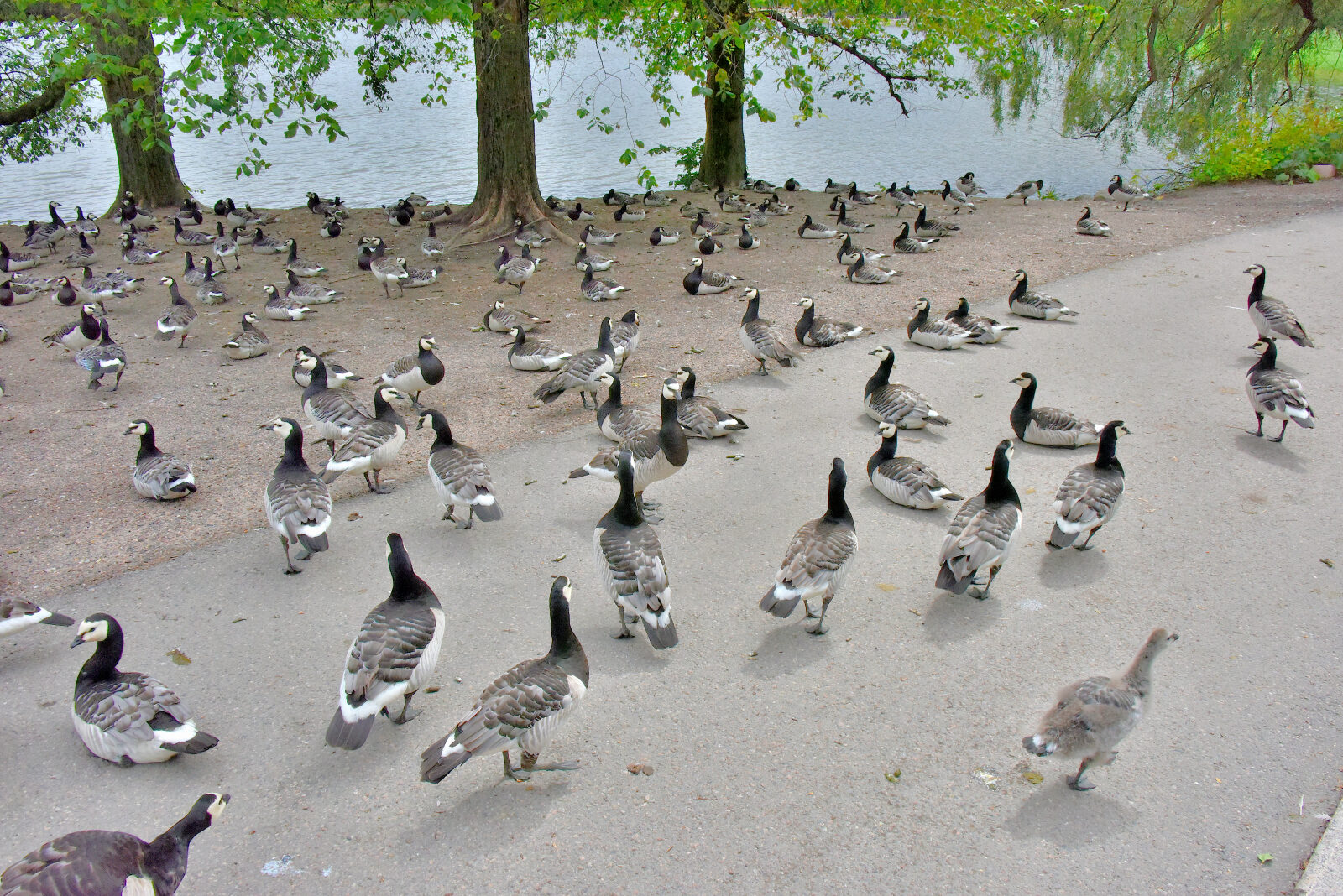 Valokuvaaja: Reijo Juurinen