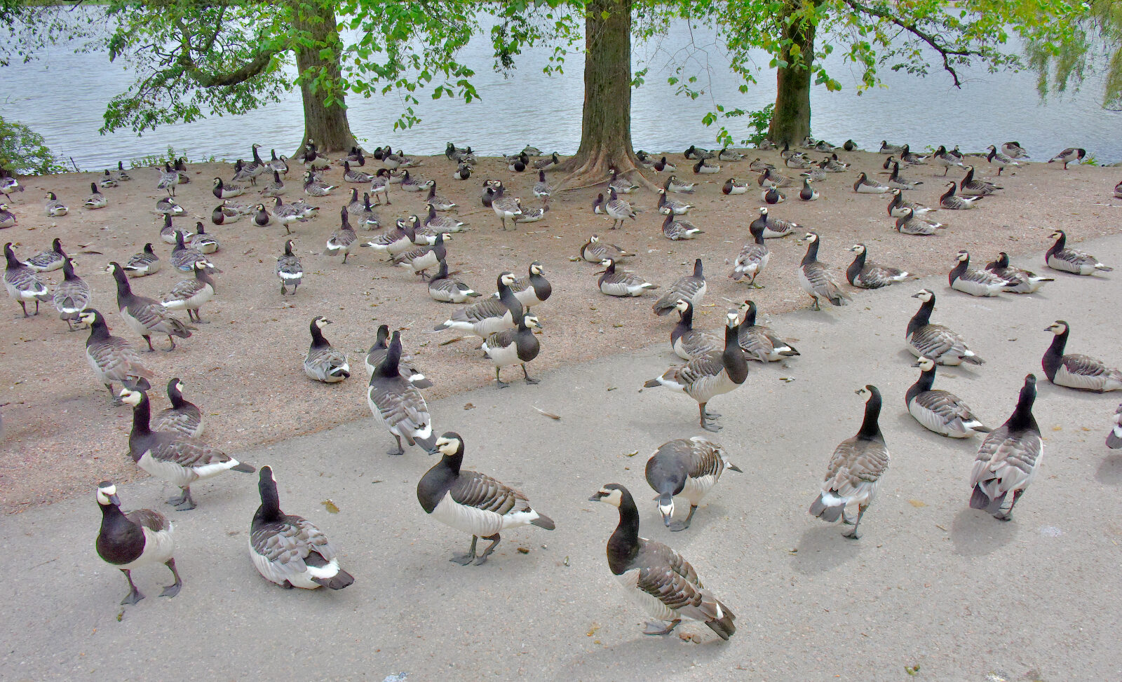 Valokuvaaja: Reijo Juurinen