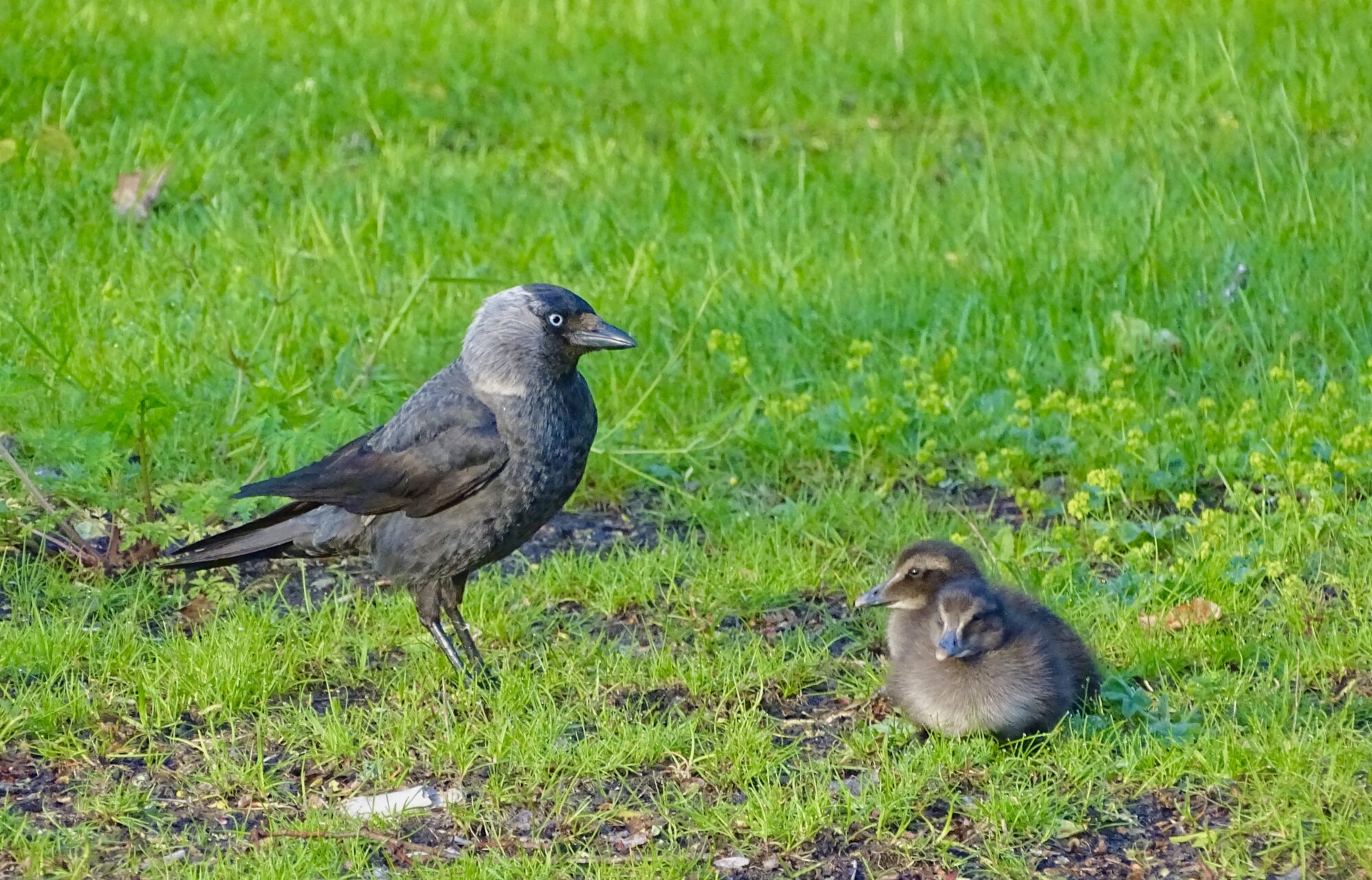 Valokuvaaja: Juhani Peltonen