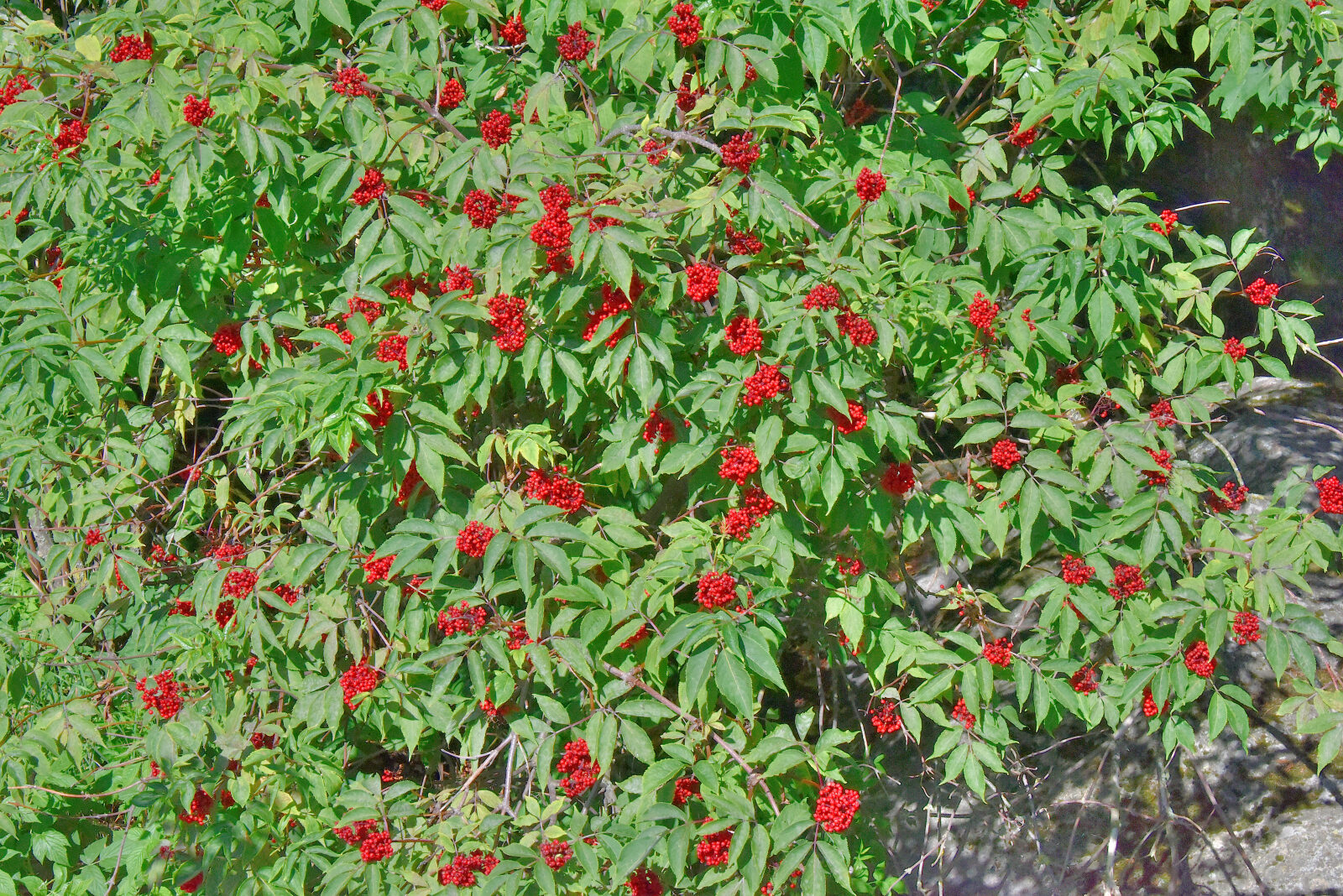 Valokuvaaja: Reijo Juurinen