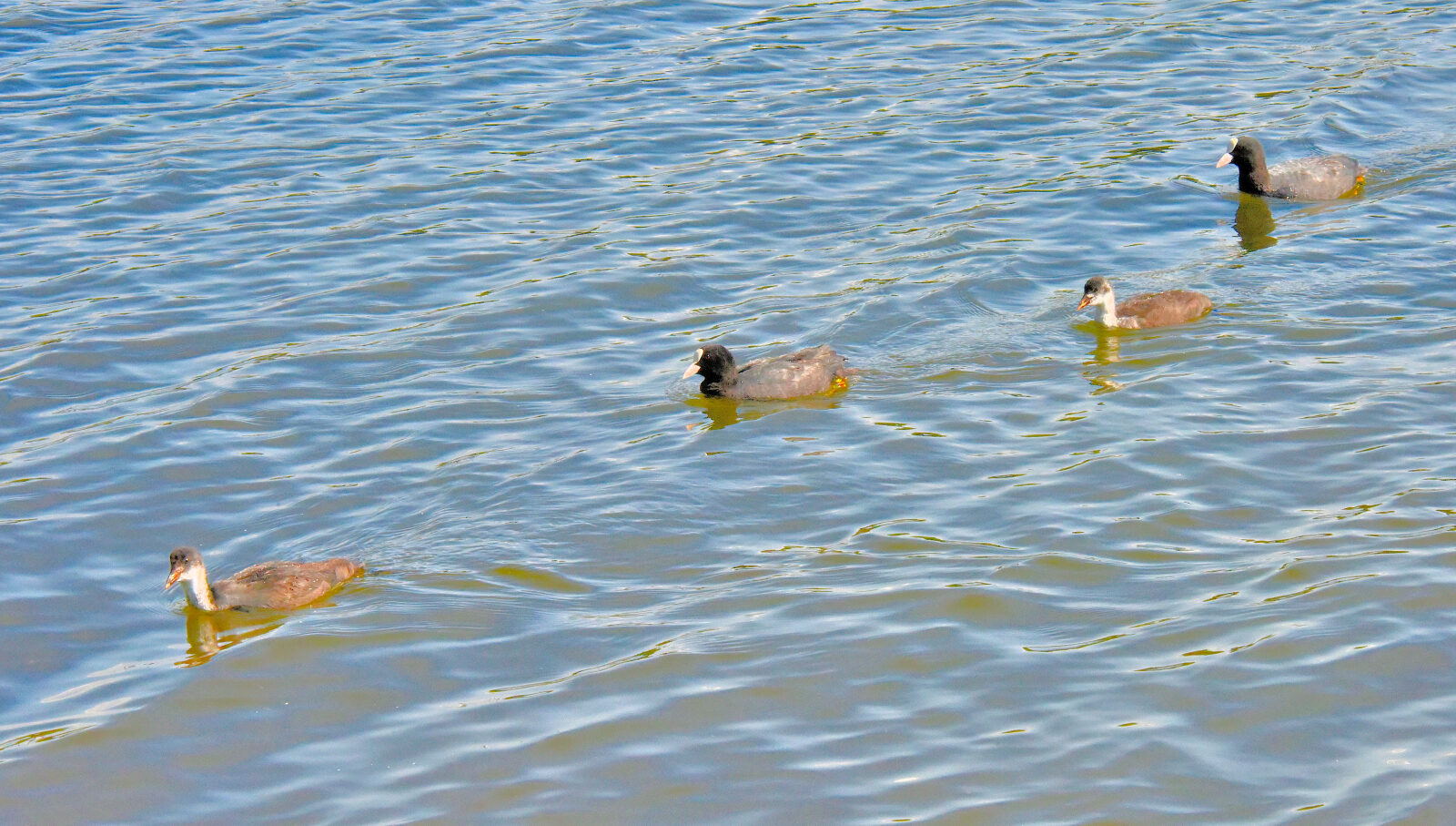 Valokuvaaja: Reijo Juurinen