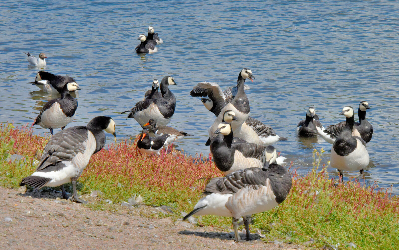 Valokuvaaja: Reijo Juurinen